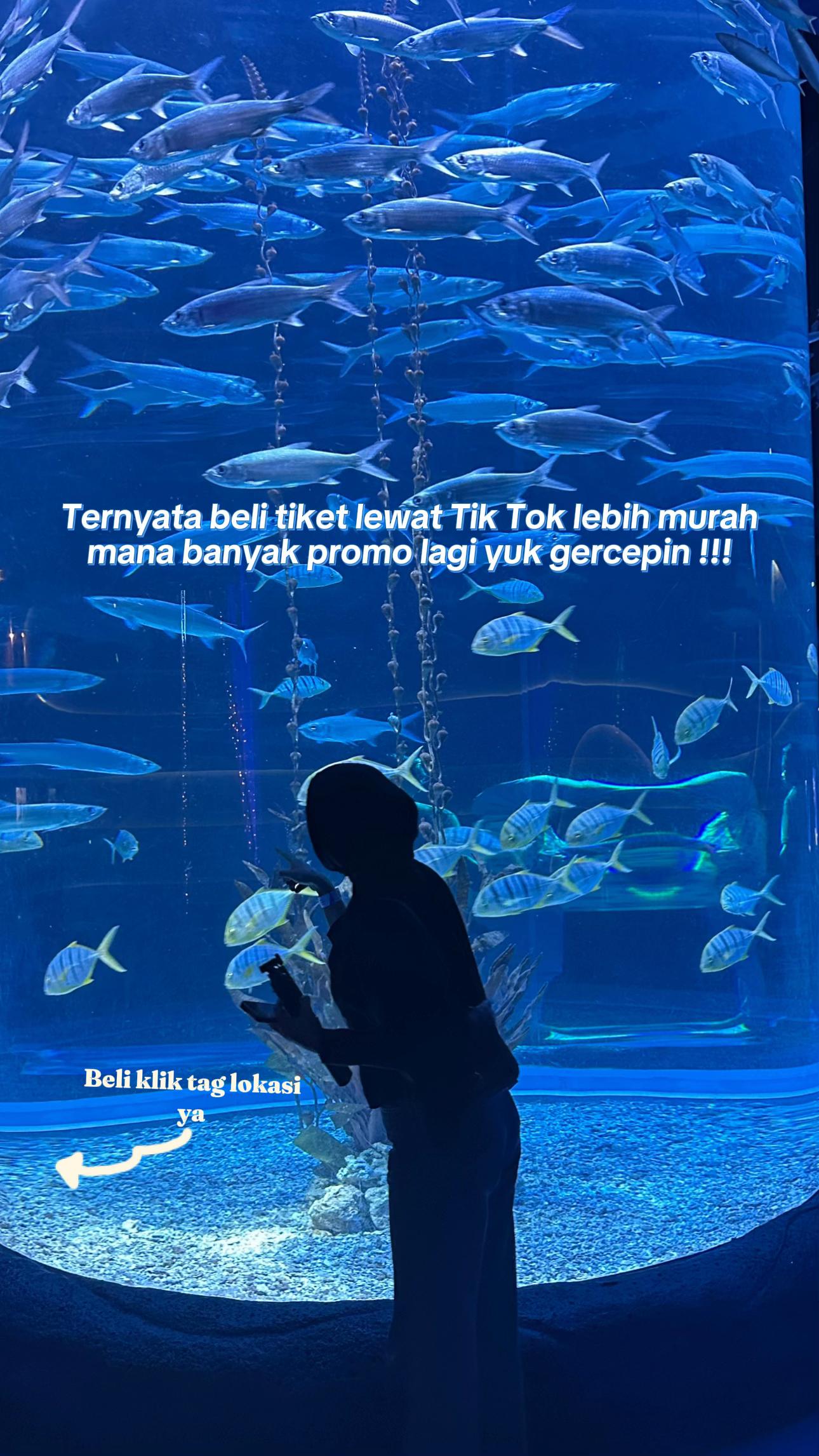 @Savianti