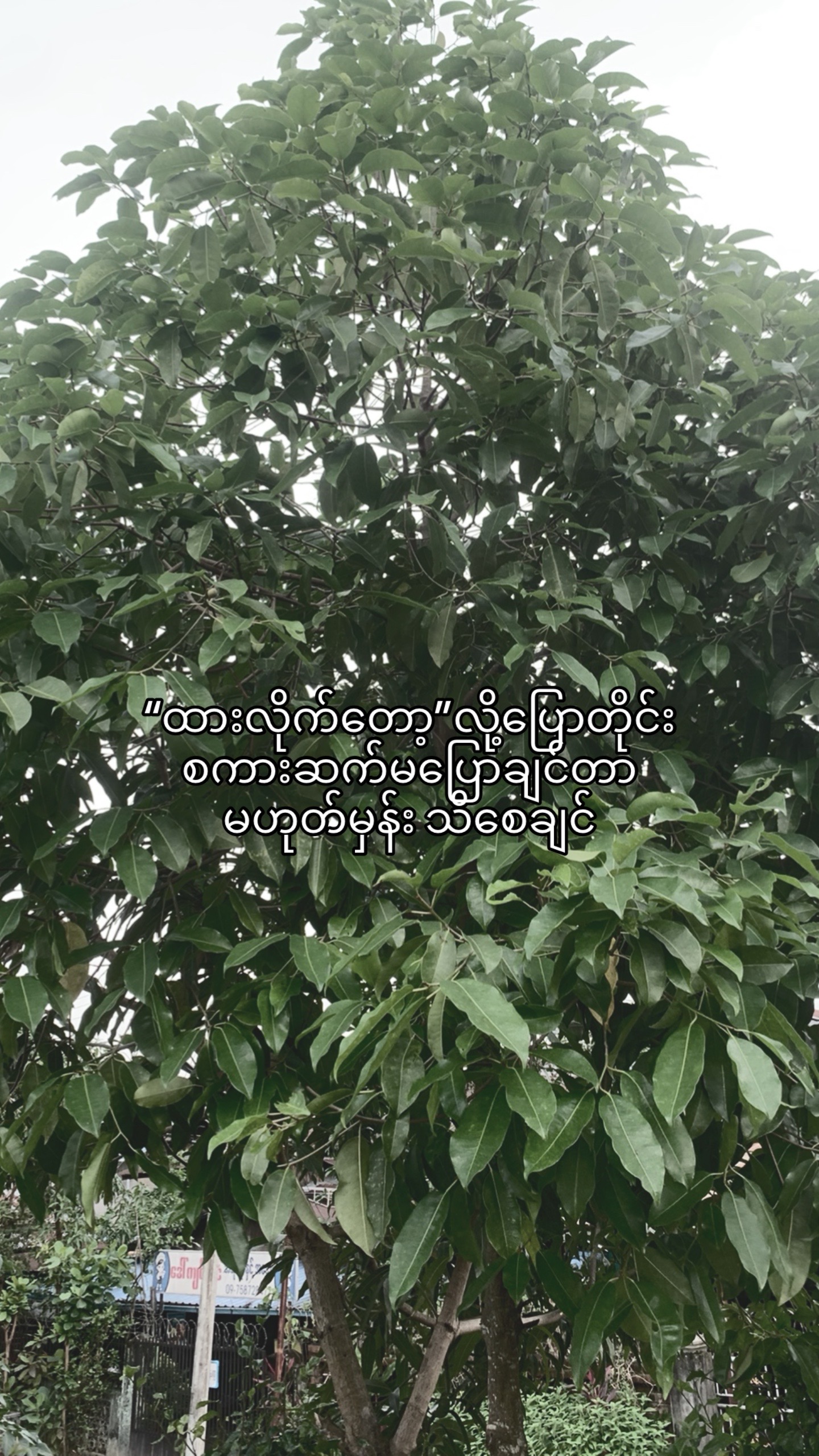 @ပြန်လာပေးပါ