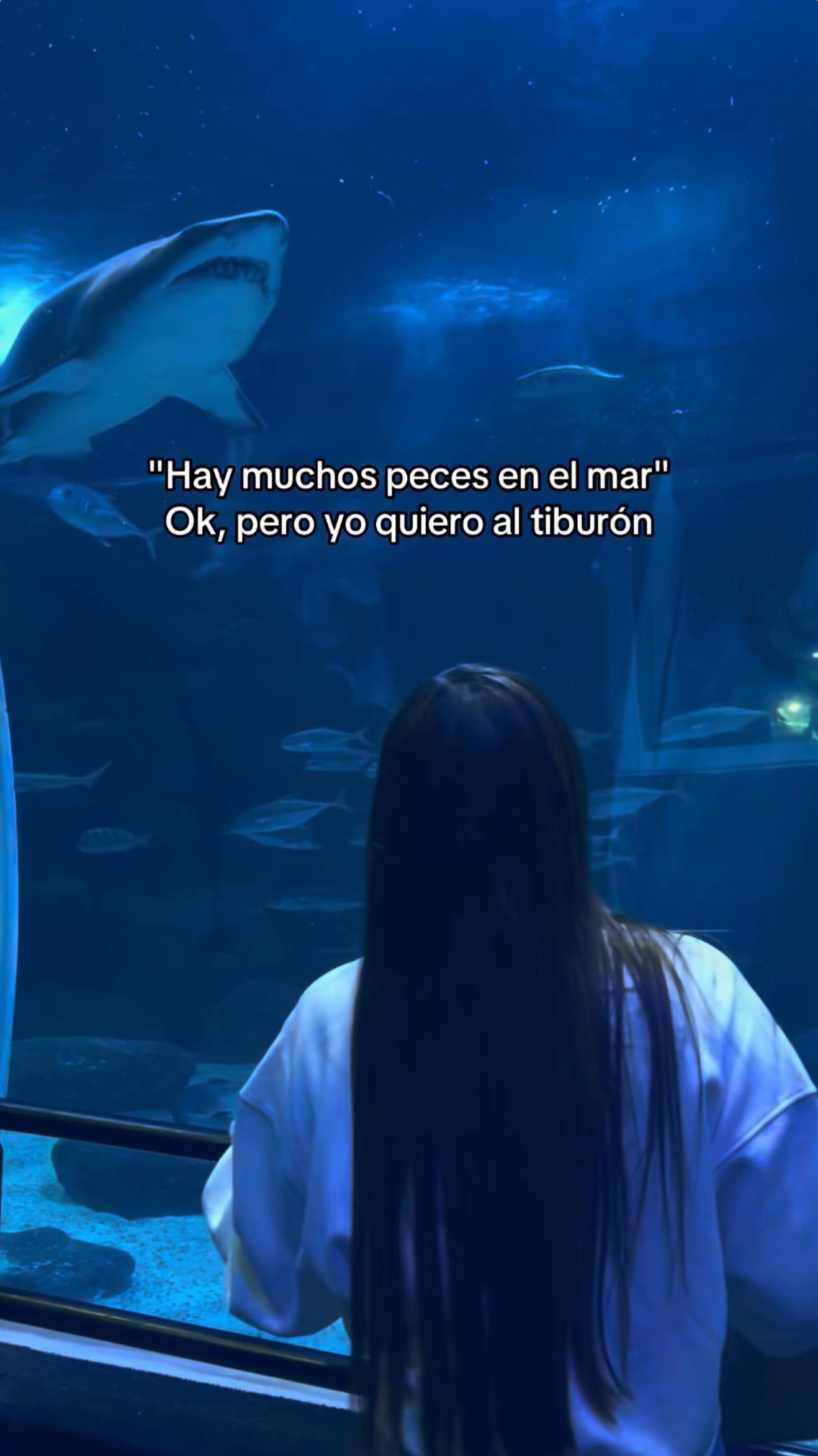 @Pao Rosado👽🖤