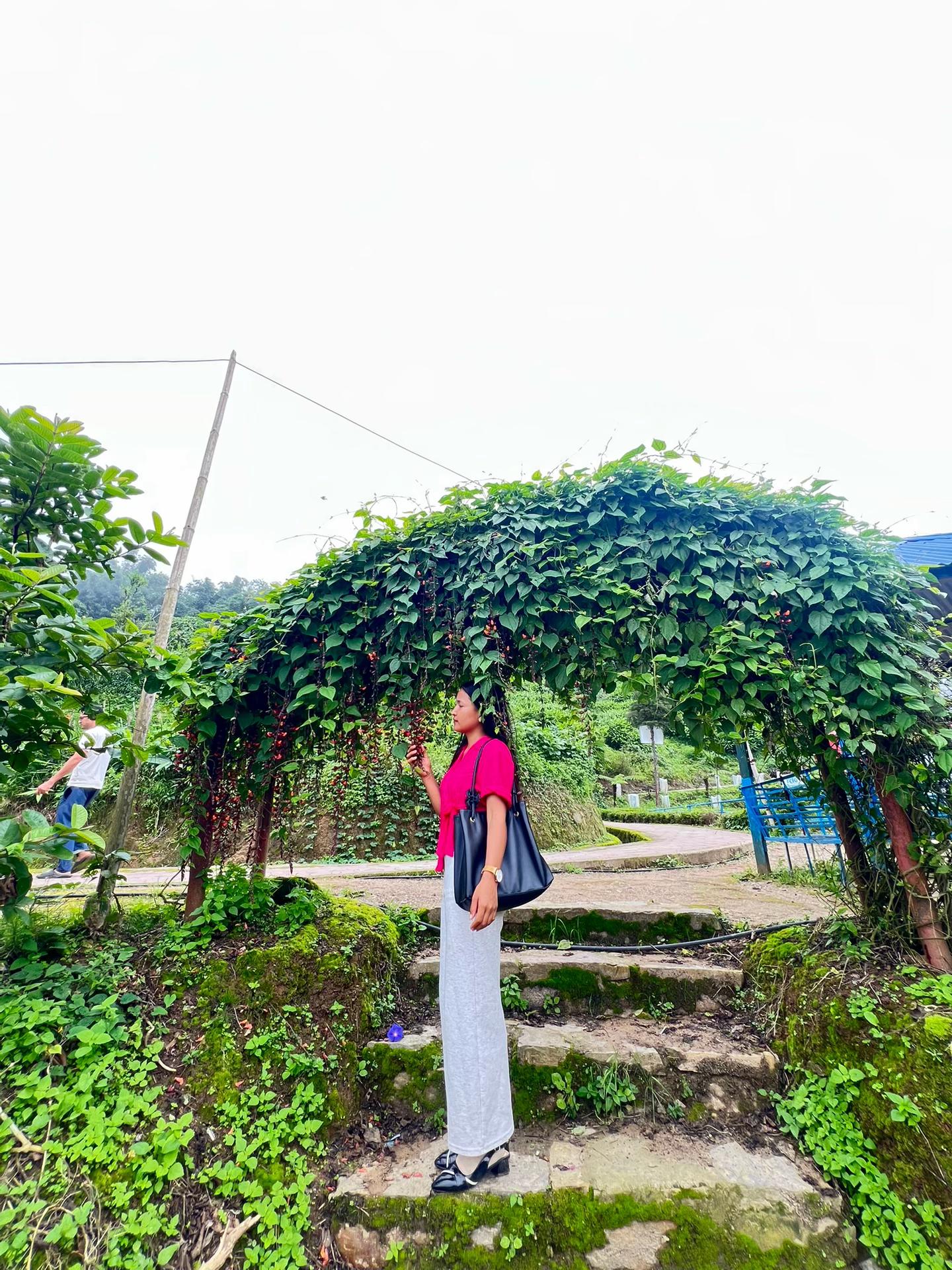@shresthasumina07