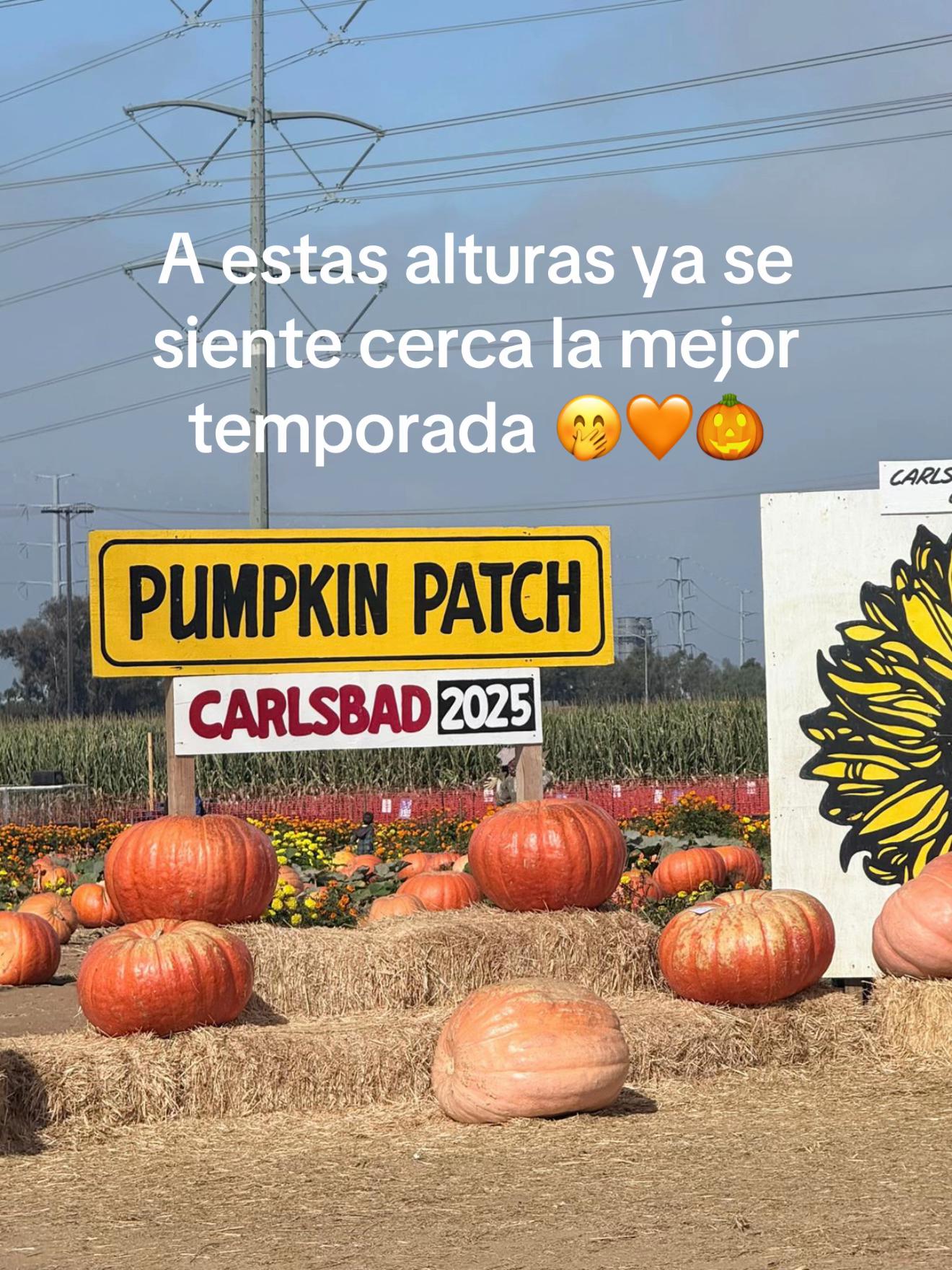 @marsarmienta