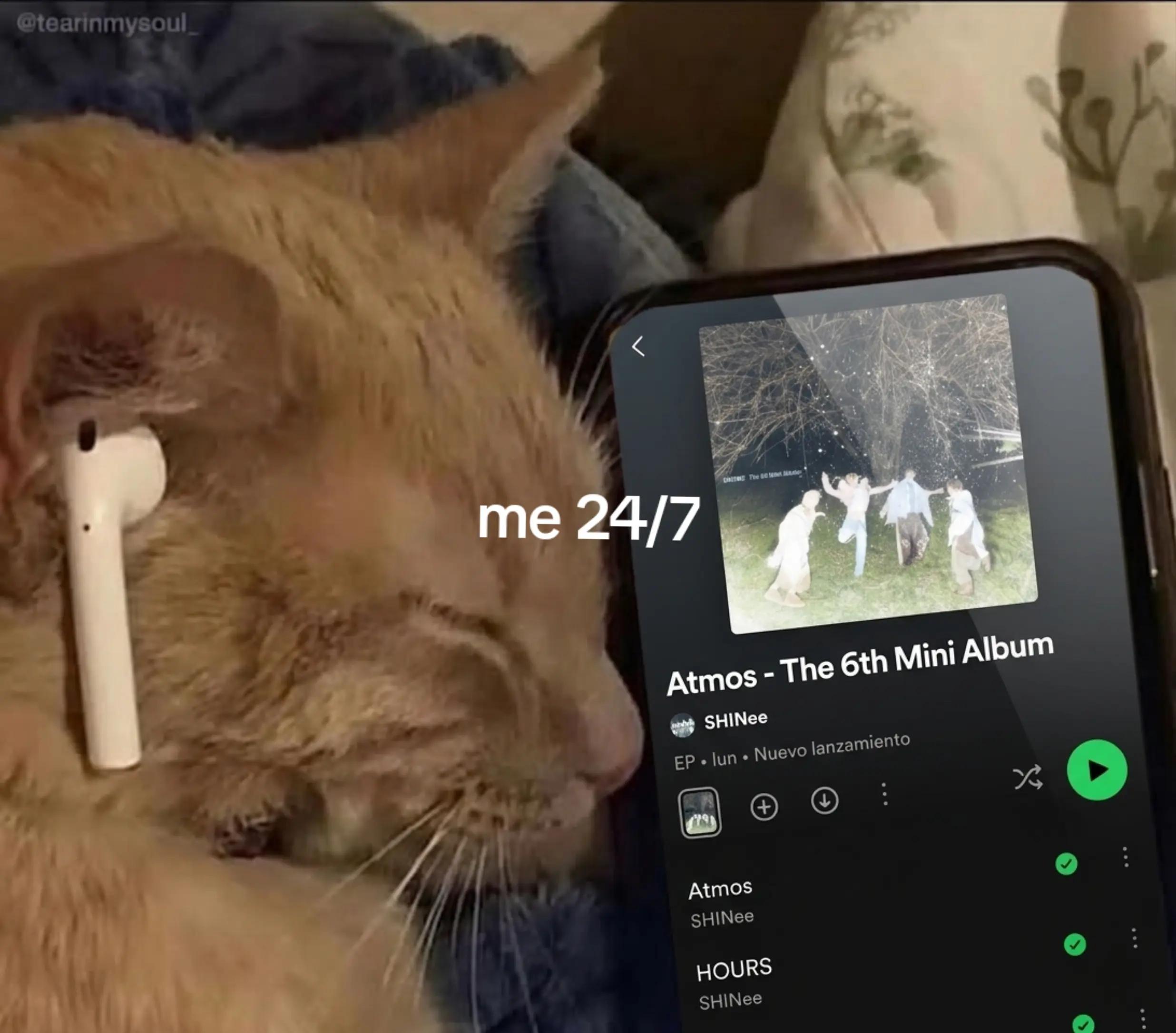 @🌛