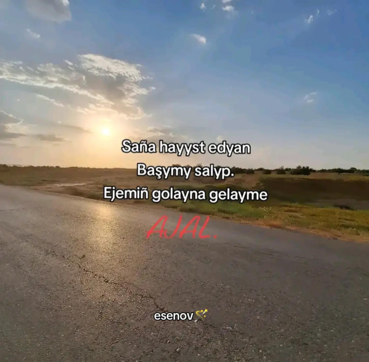 @esenov_B