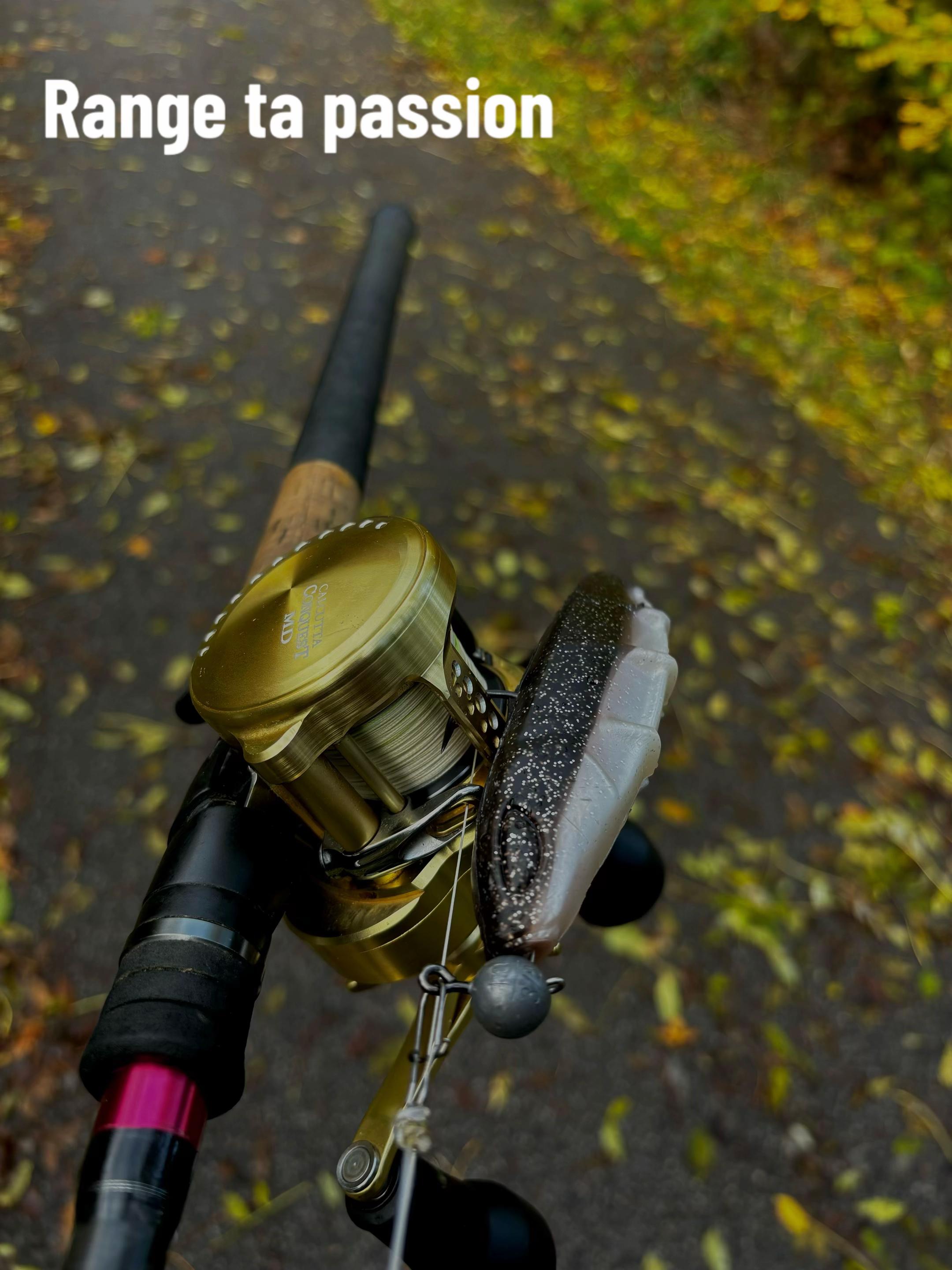 @bgz_fishing