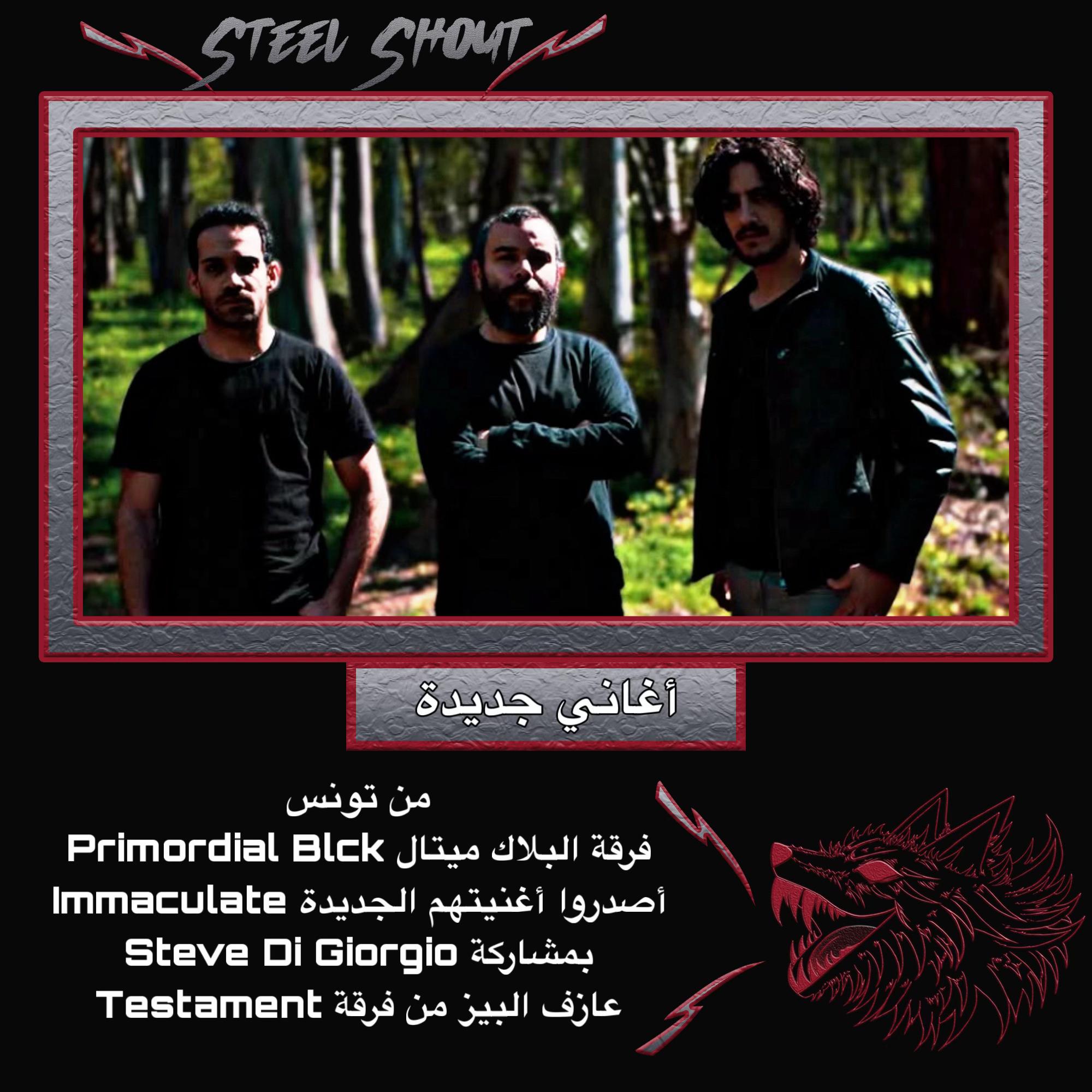 @Steel.Shout