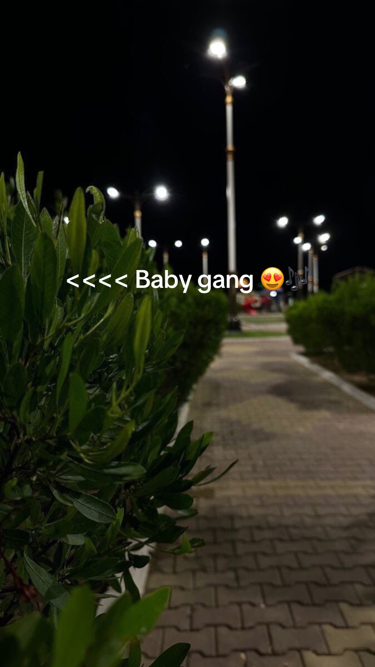 @baby_gang_fans.1