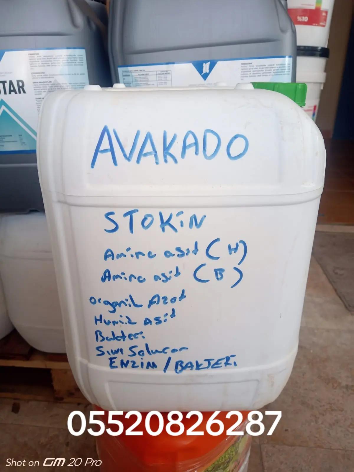@Alanya avakado dünyası