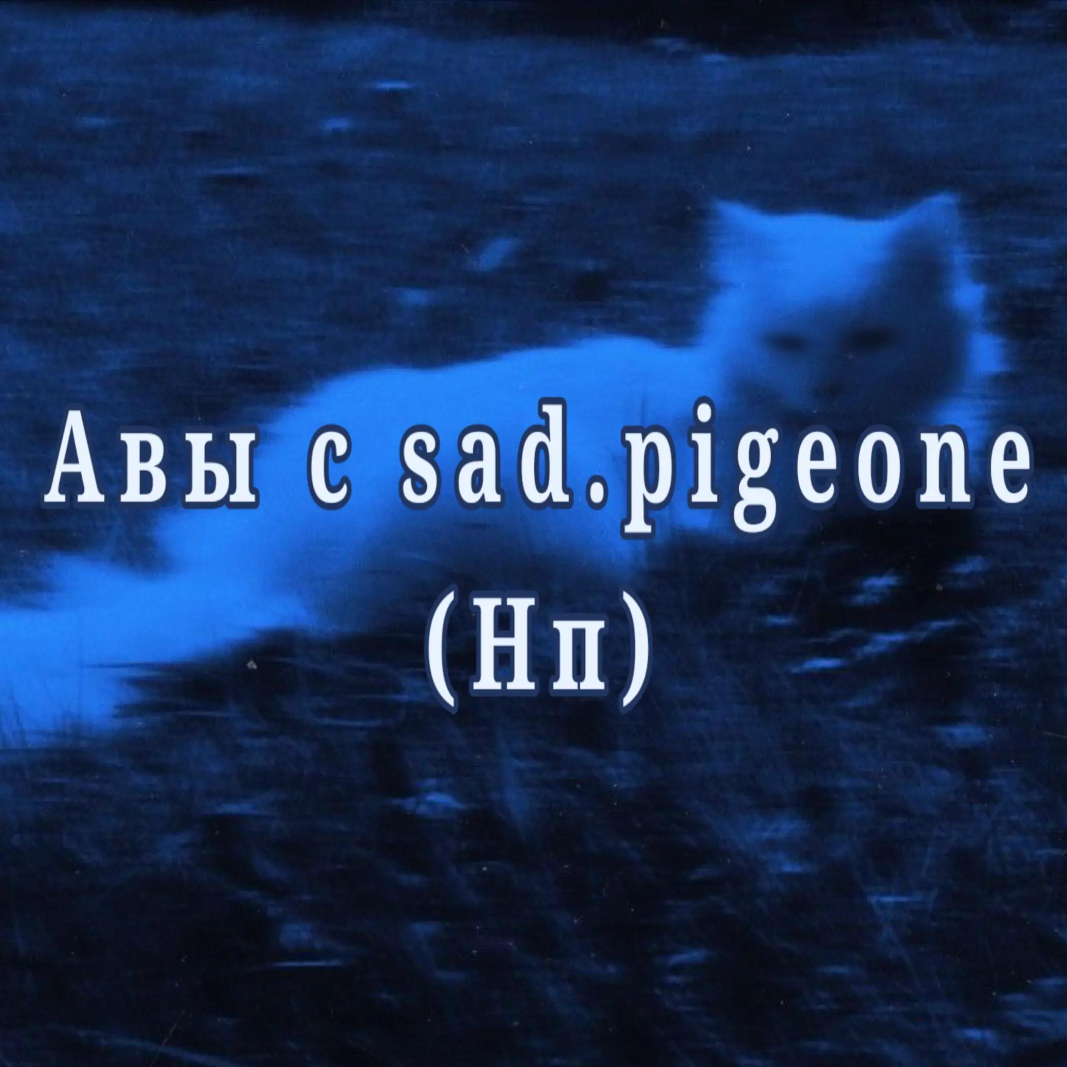 @☆Енотик федя☆