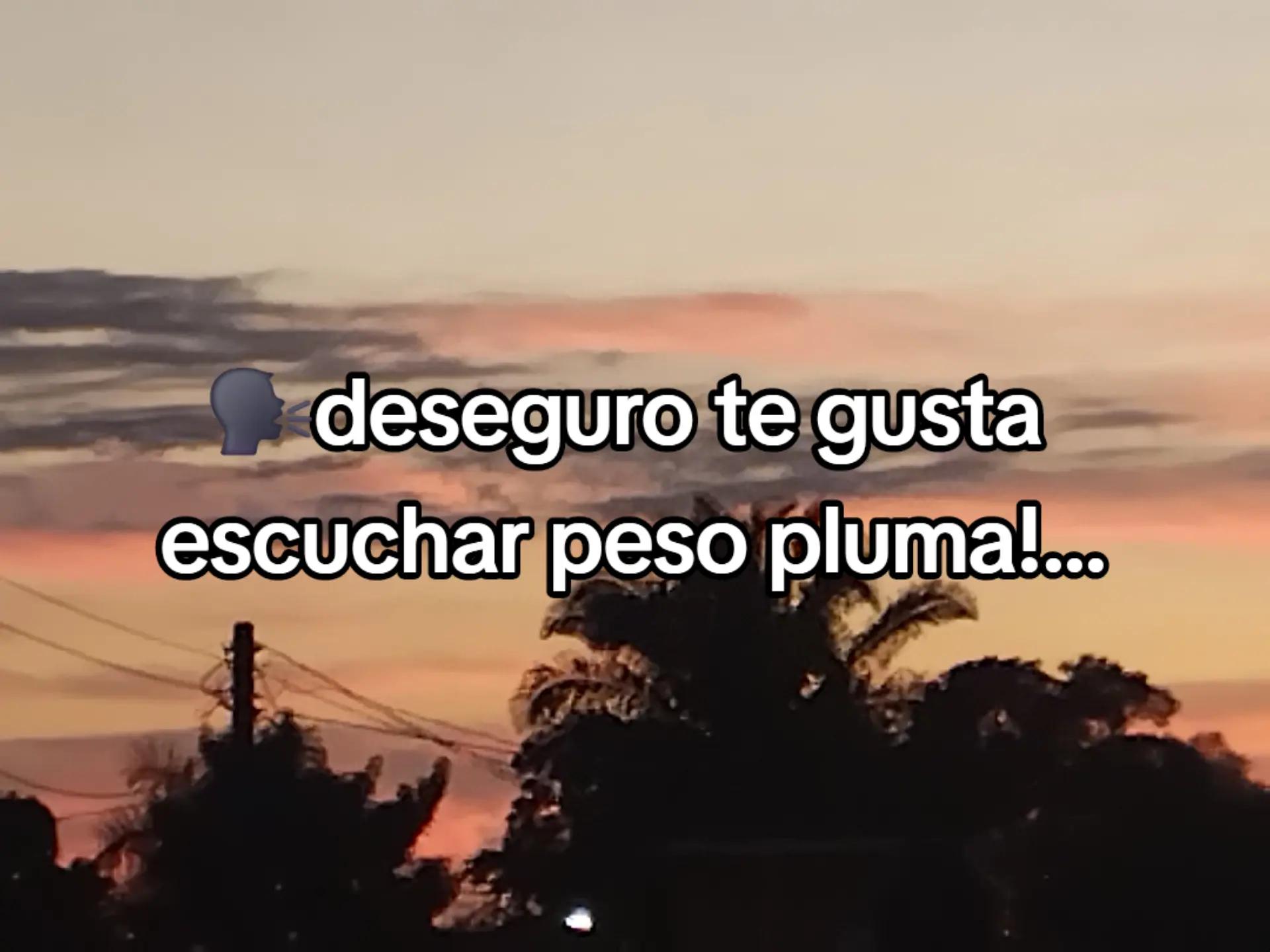 @alichs...🫐🎀🥷🪐