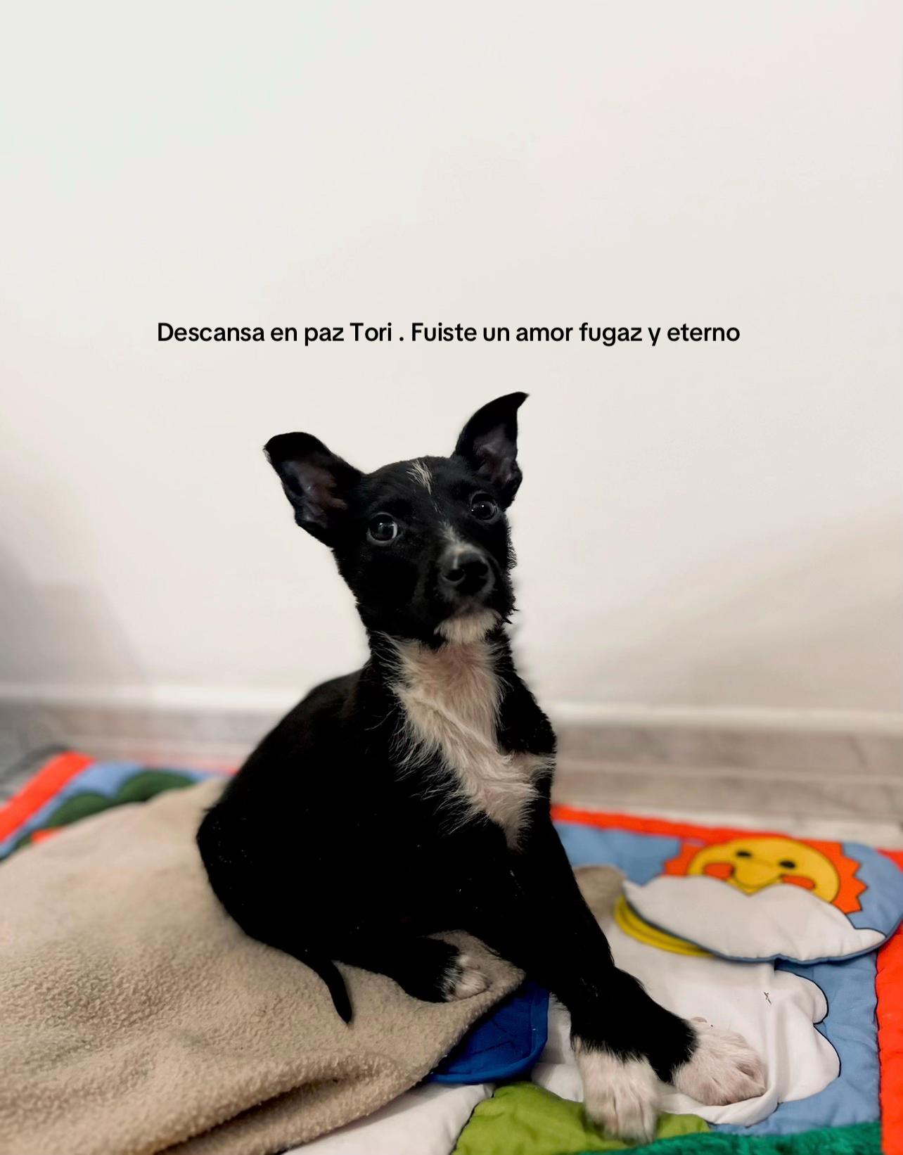 @Francisco Jesús 🪽