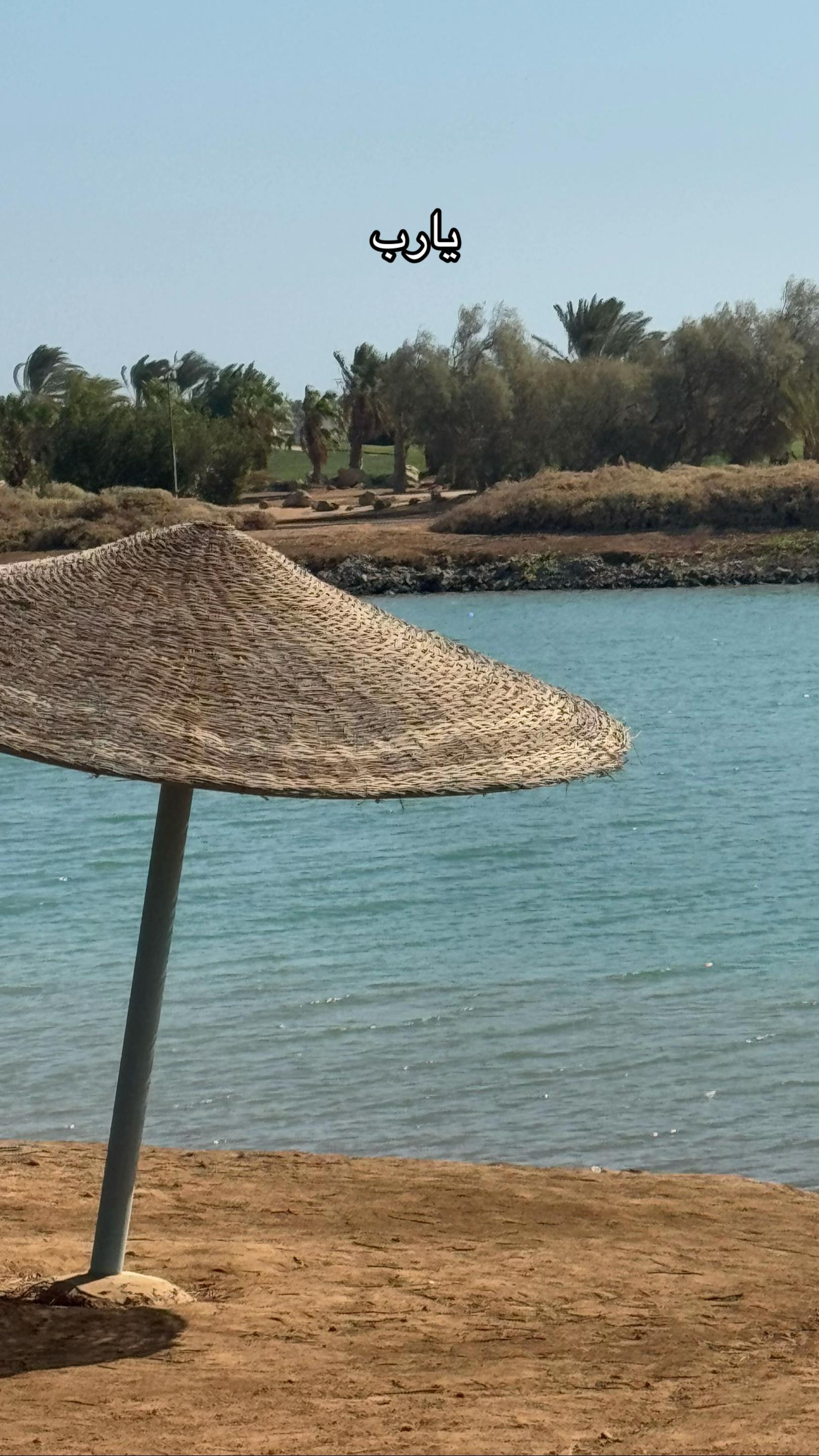 @Mohamed Abouelnasr