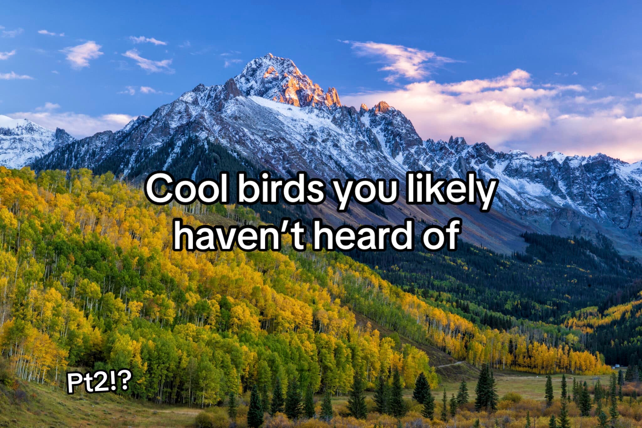 @basicallygeographic