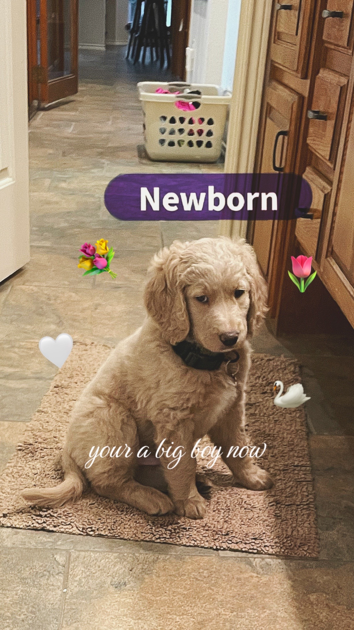 @𝒶 𝓋 𝑒 𝓇 𝓎 . 💐