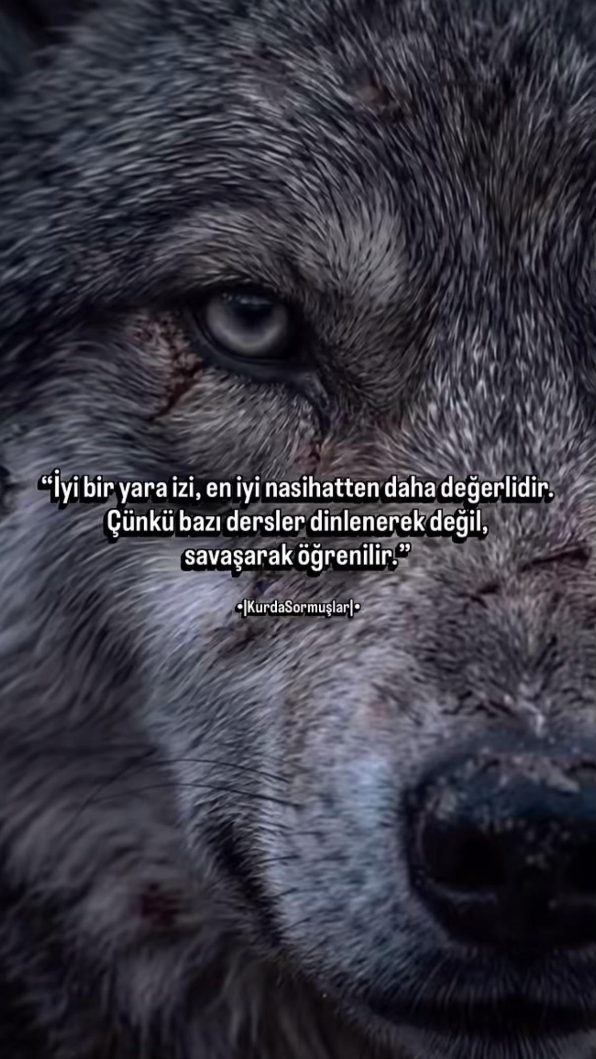@Bülent ERKUŞ