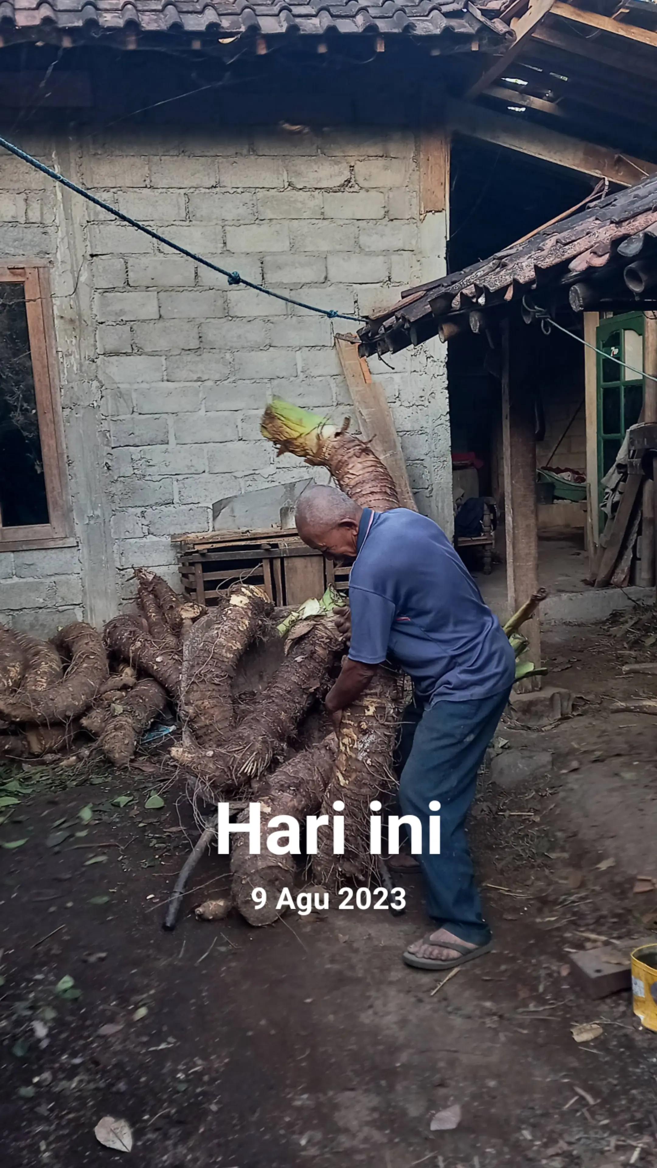 @nandriyanto0