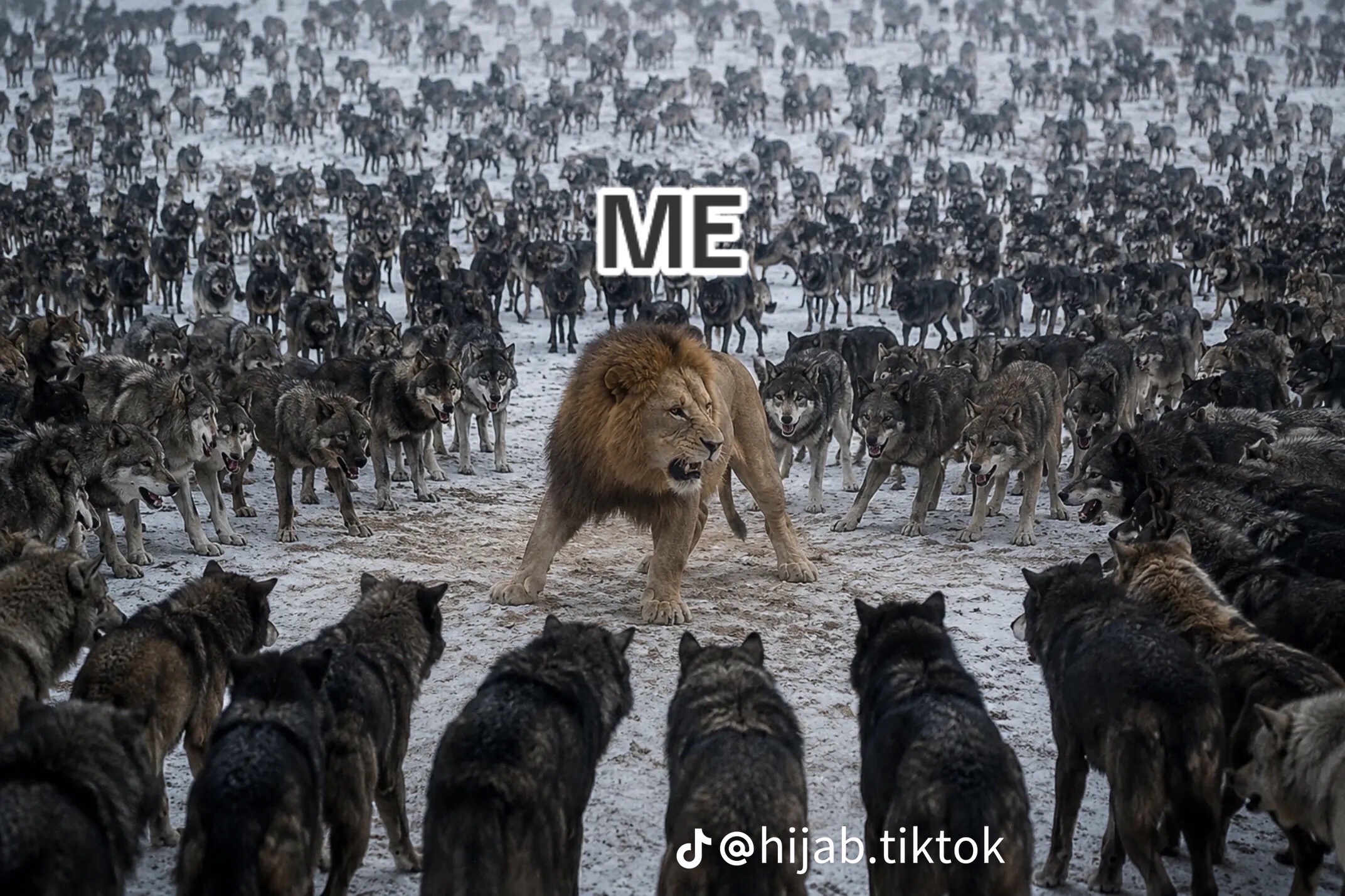 @MB