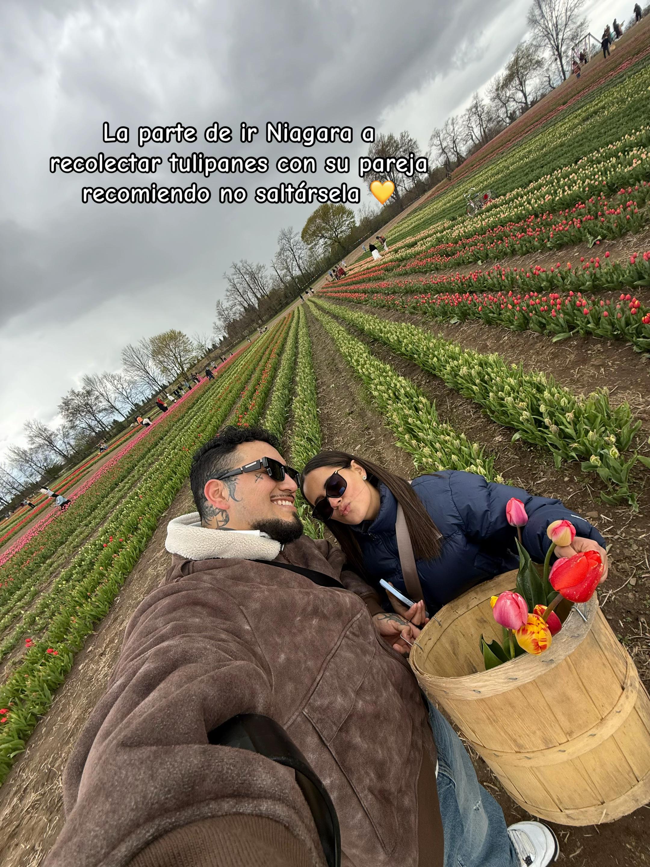 @farfanluisr
