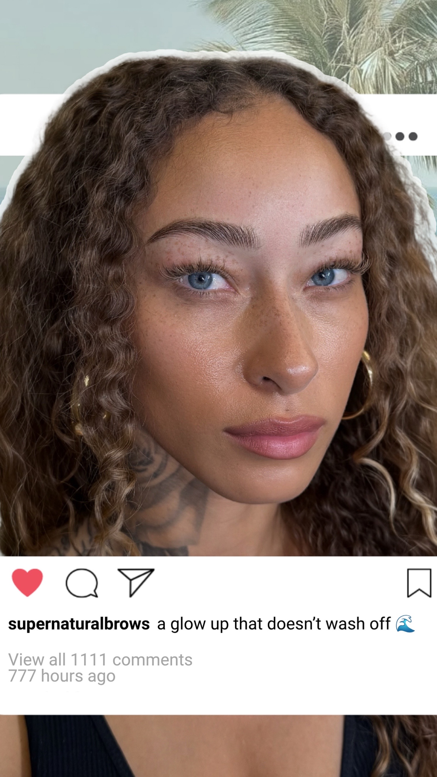 @hannahlsturtie