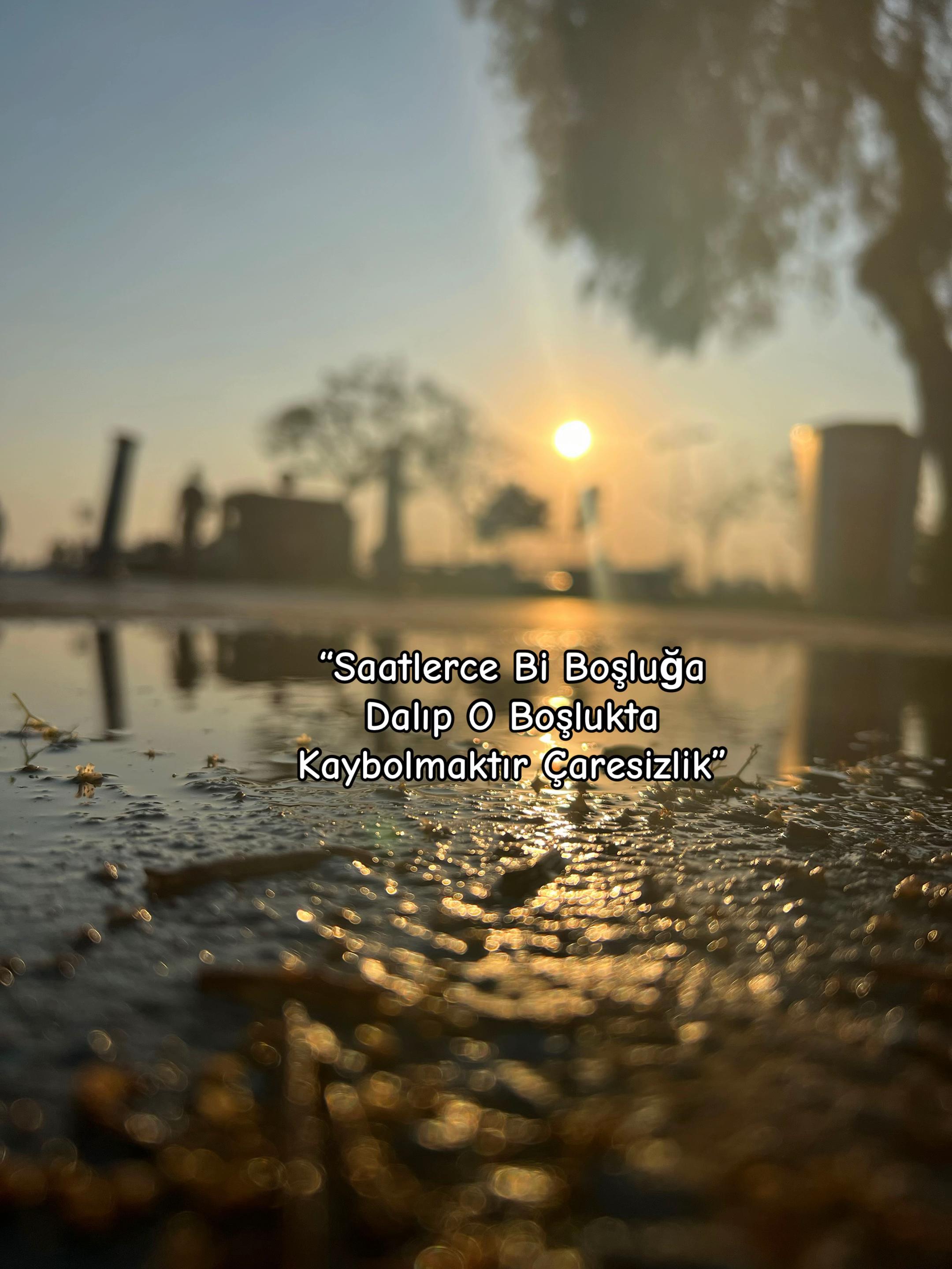 @Şehmuz Yıldız