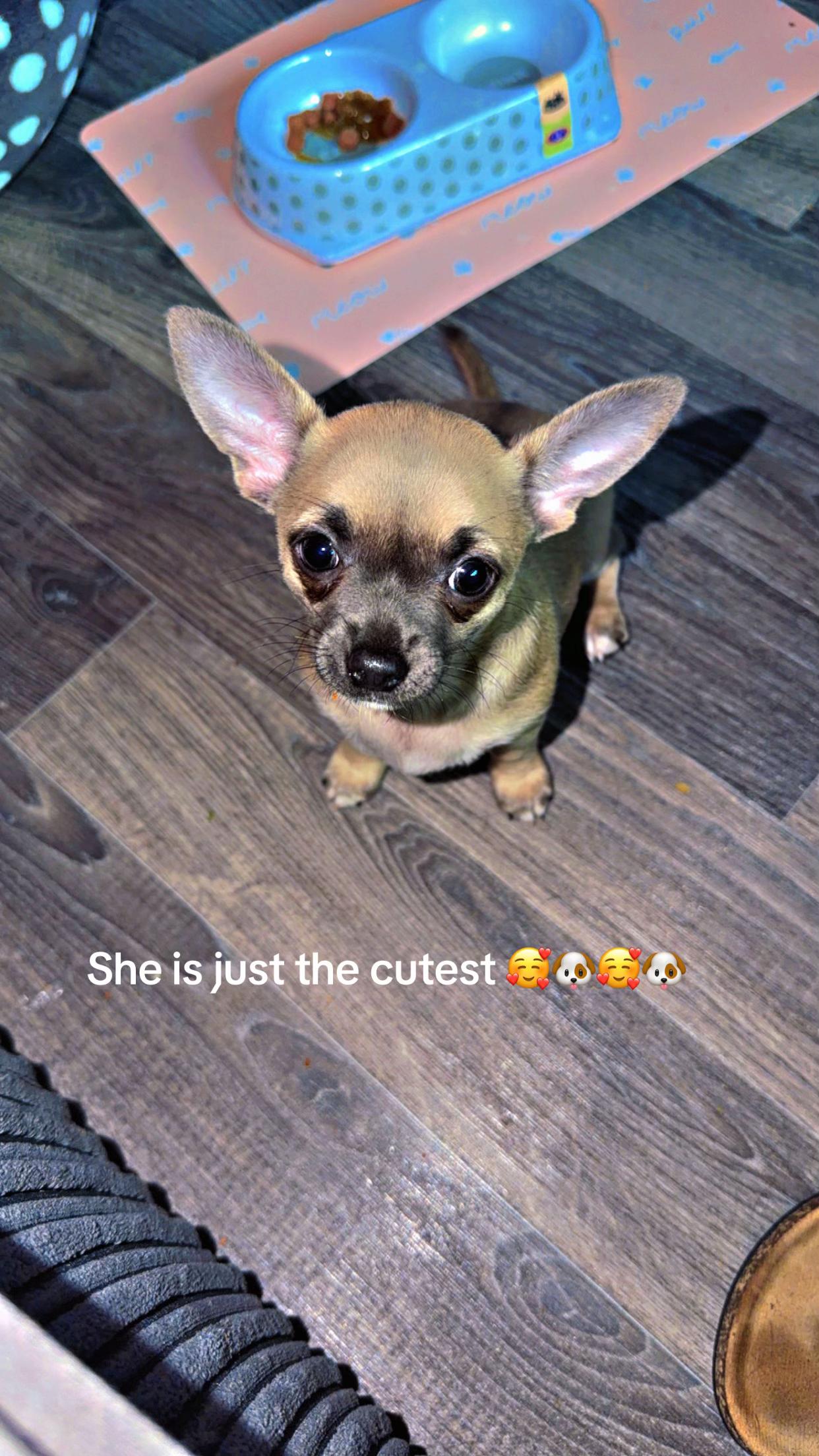 @Jenni3987