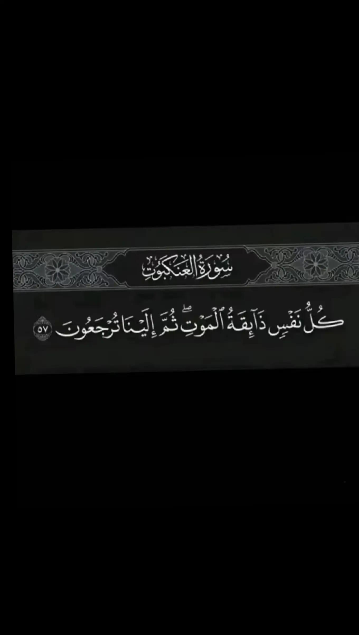 @شُـُـُﮩـهـيد || 𝟝𝟘𝟝 🥷🏻