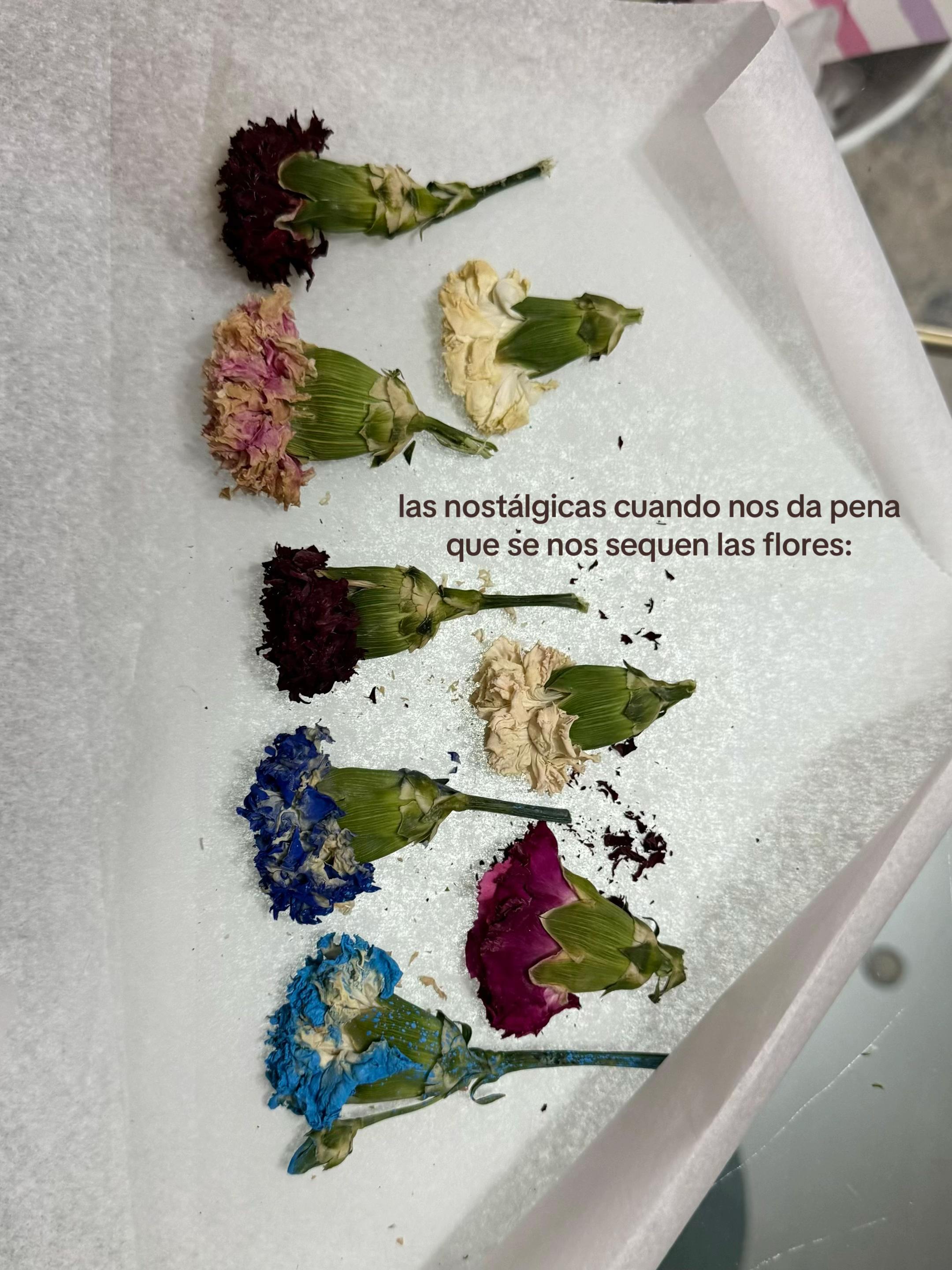 @andrea 🪩