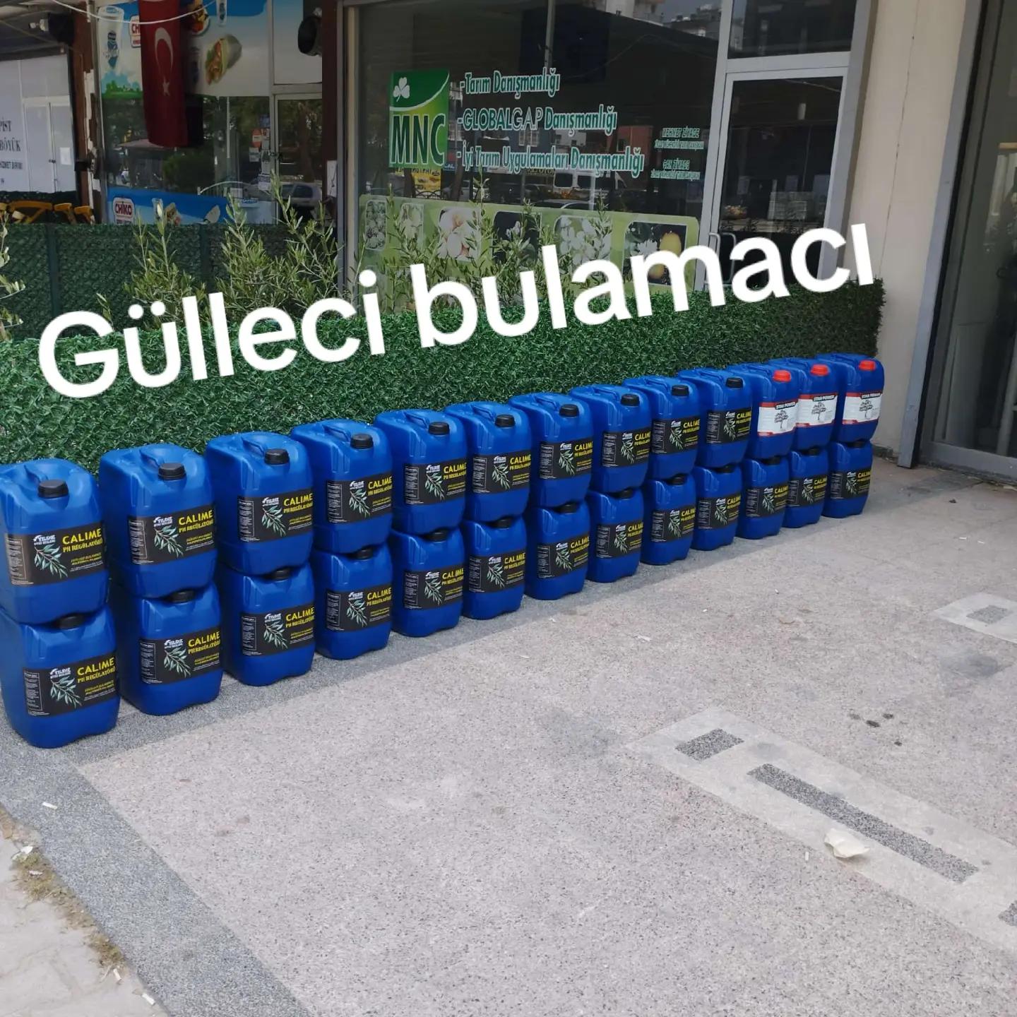 @Alanya avakado dünyası