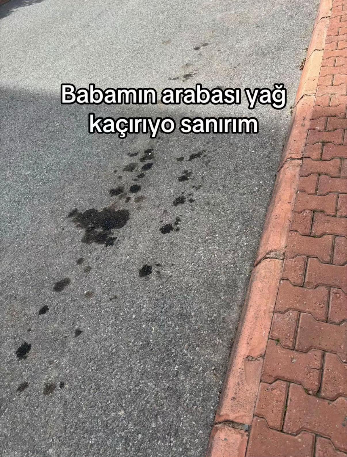 @harun_selcuk