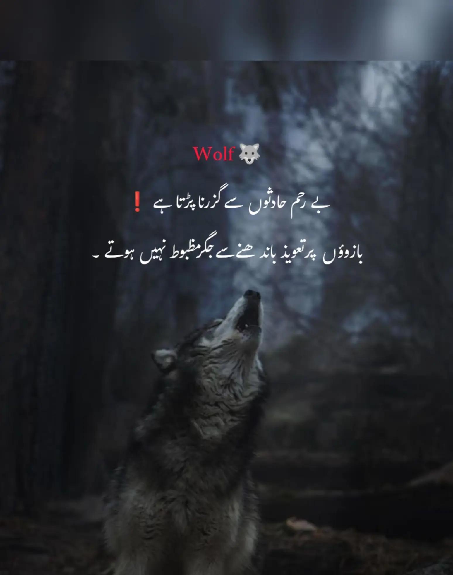 @𝓜𝓸𝓷𝓲 𝓖