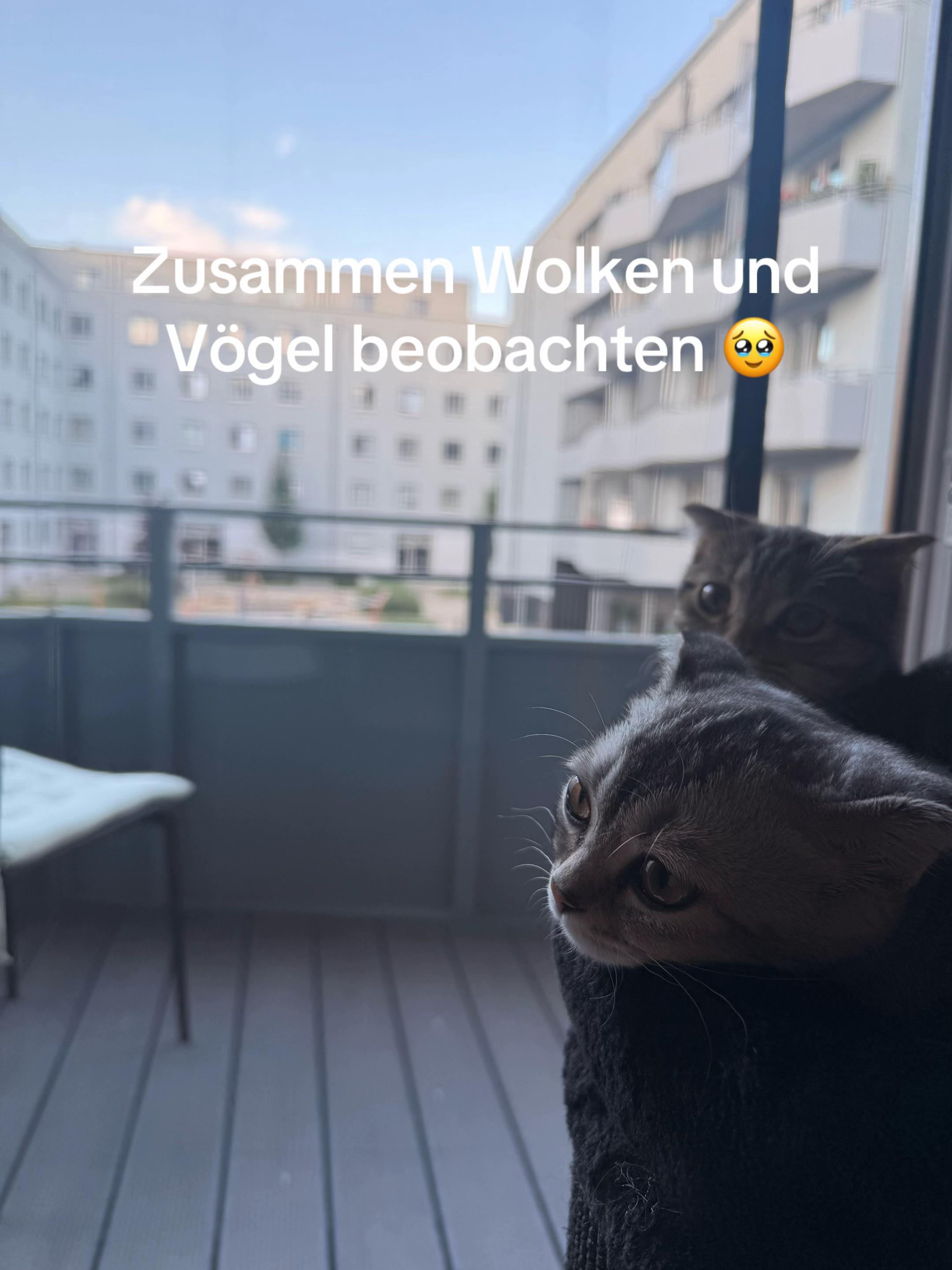 @Divaurteilt