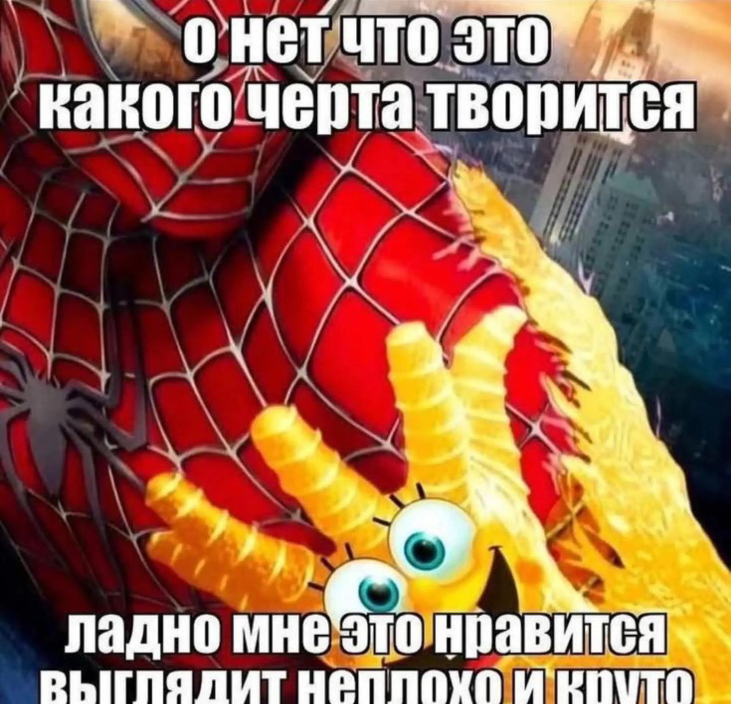 @тгк - бульбаниель 2 саша шишка