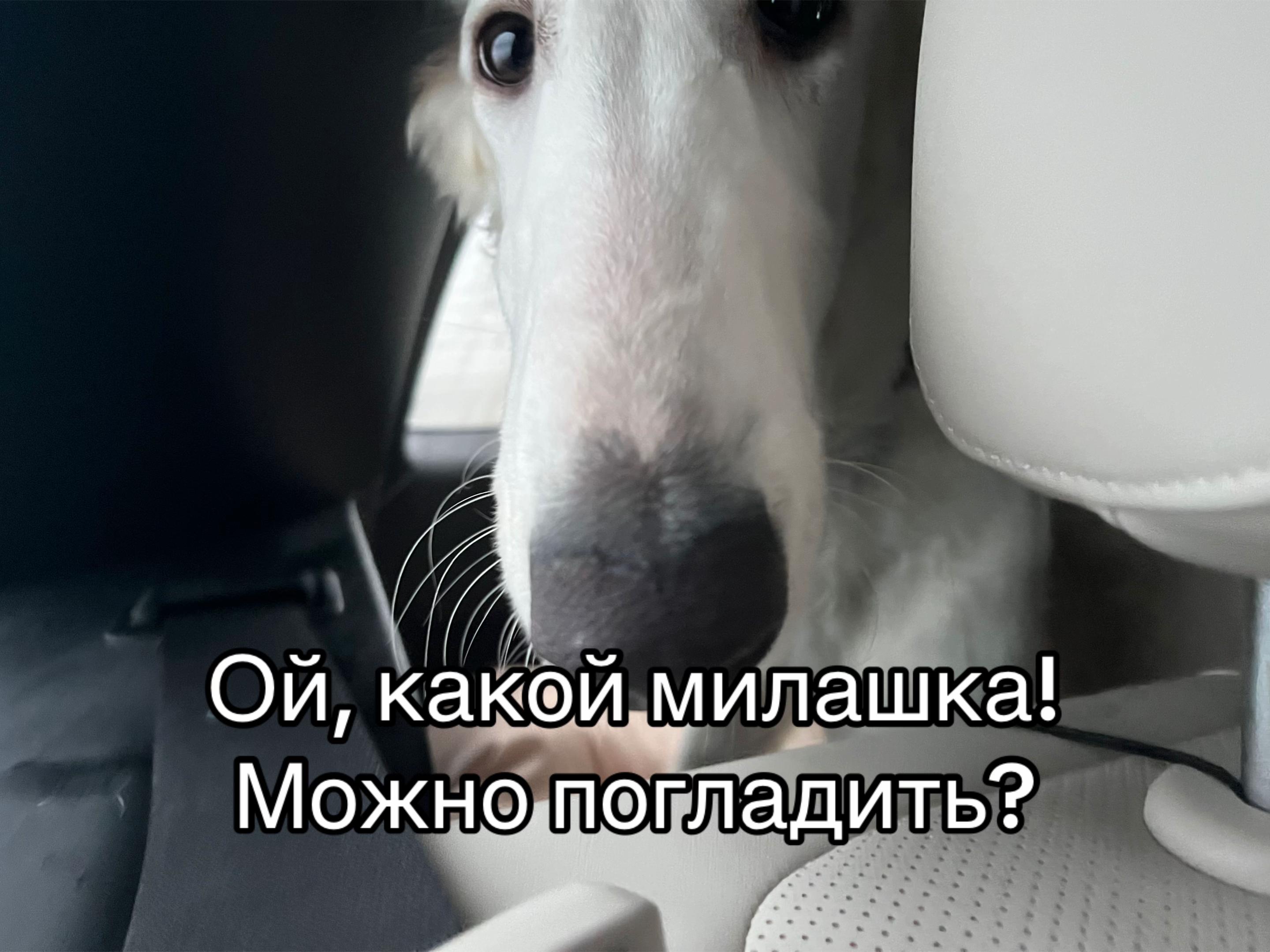 @Кареглазый блондин👁️