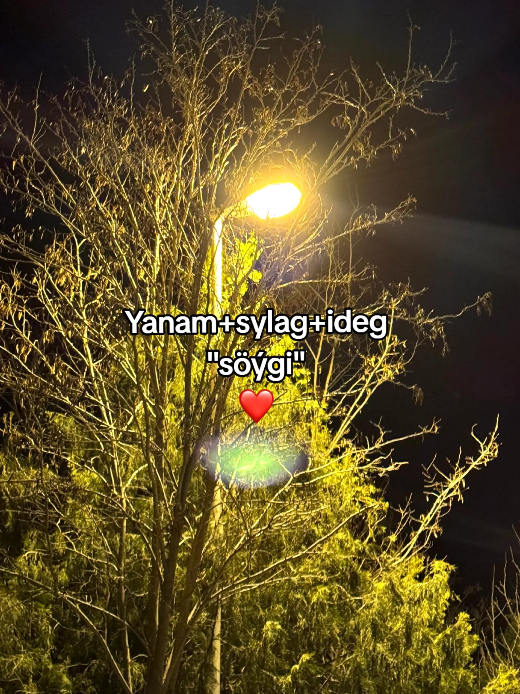 @𝙂𝙖𝙯𝙖𝙠𝙊𝙁𝙁🦈