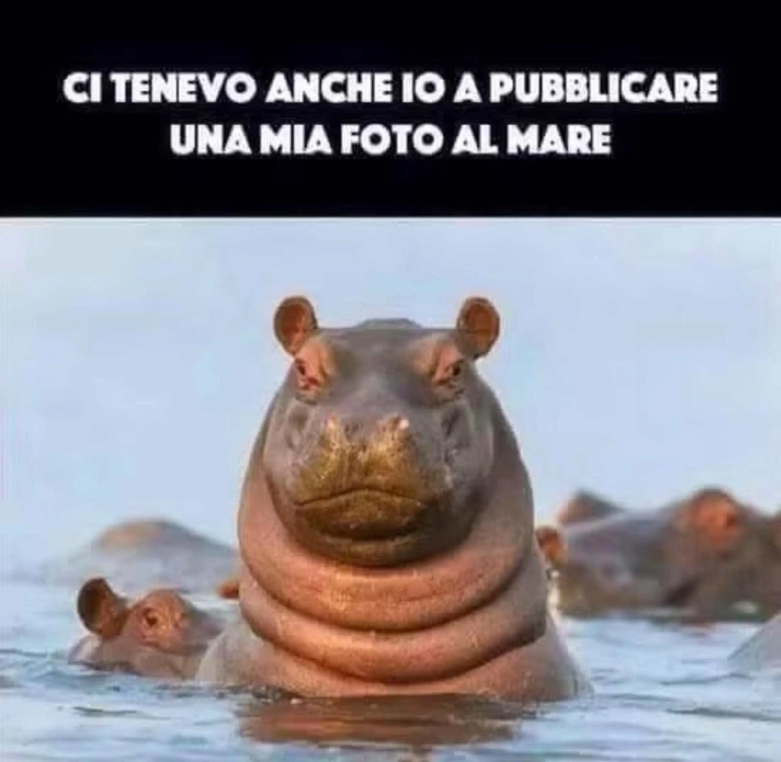 @cuccaro federica