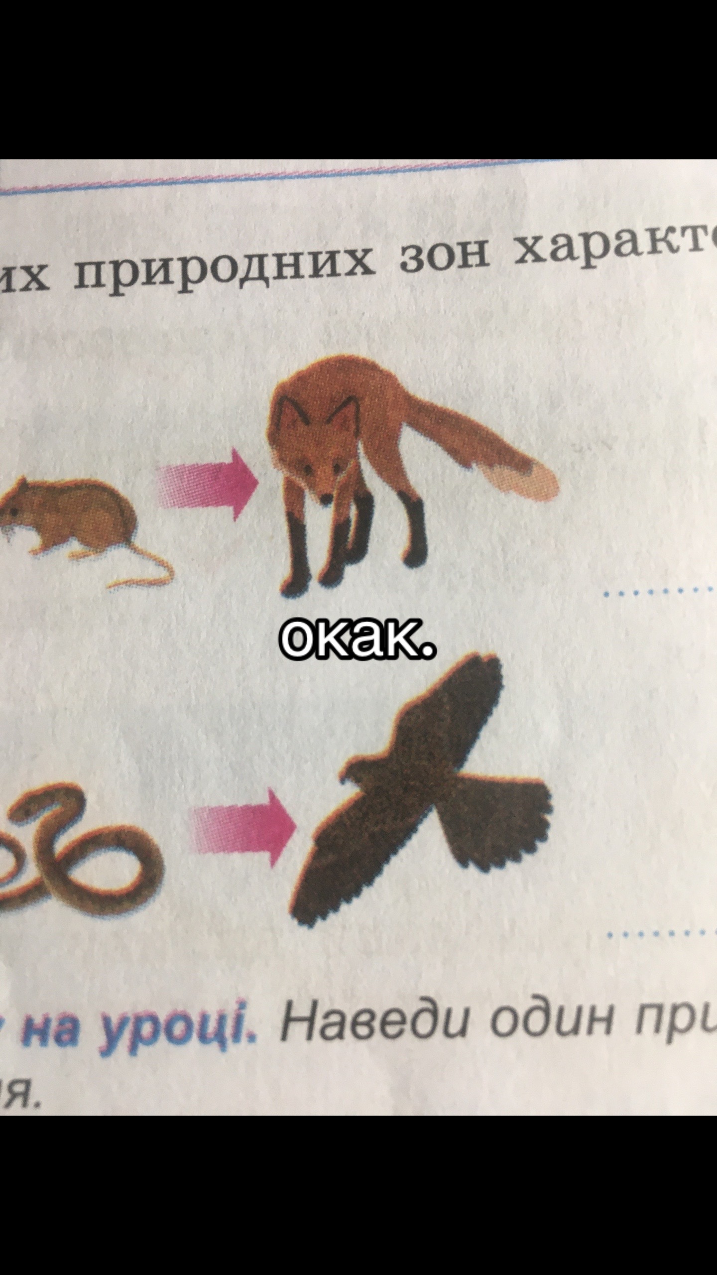 @кислятина🍧