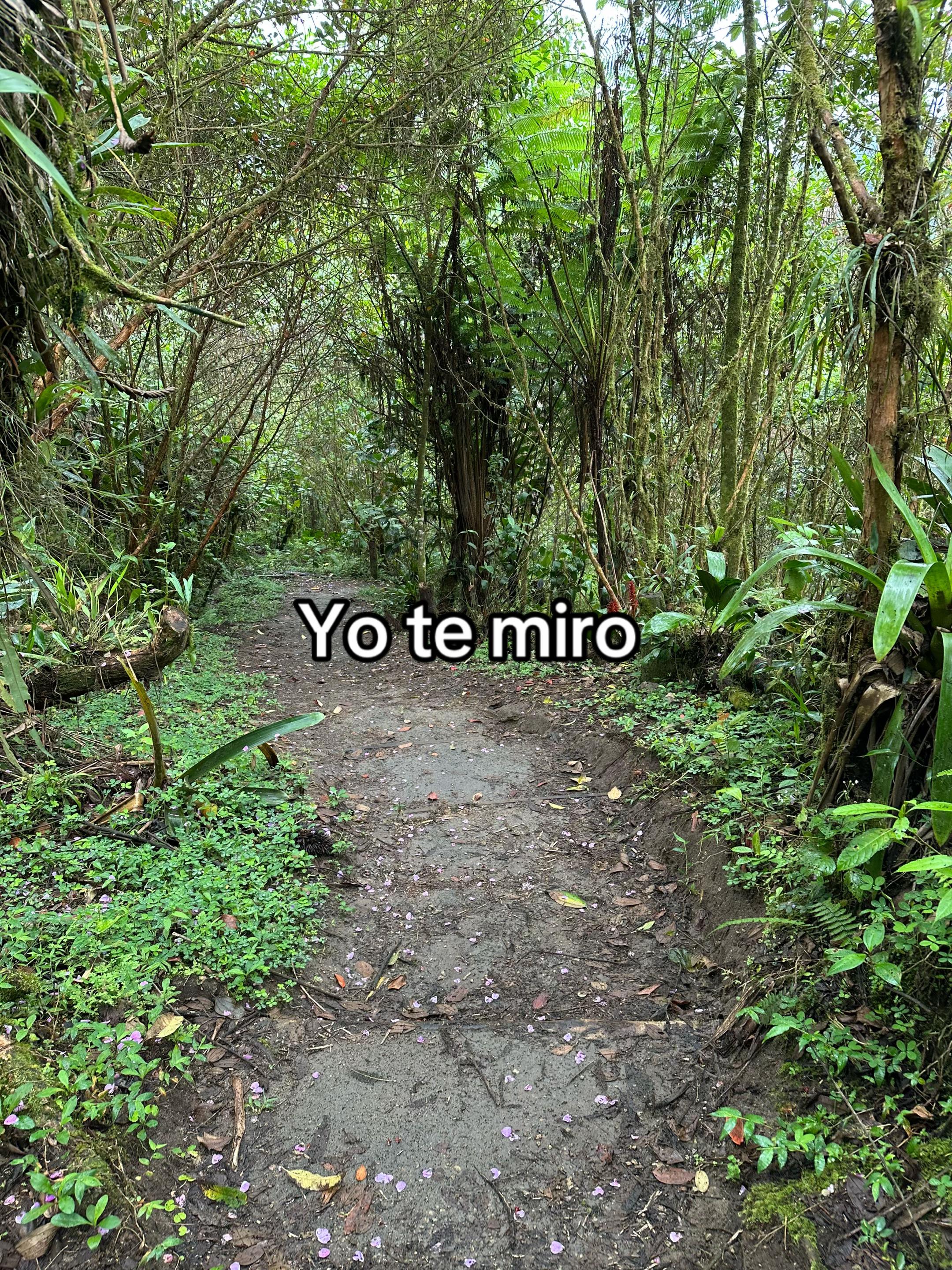 @user 🧔