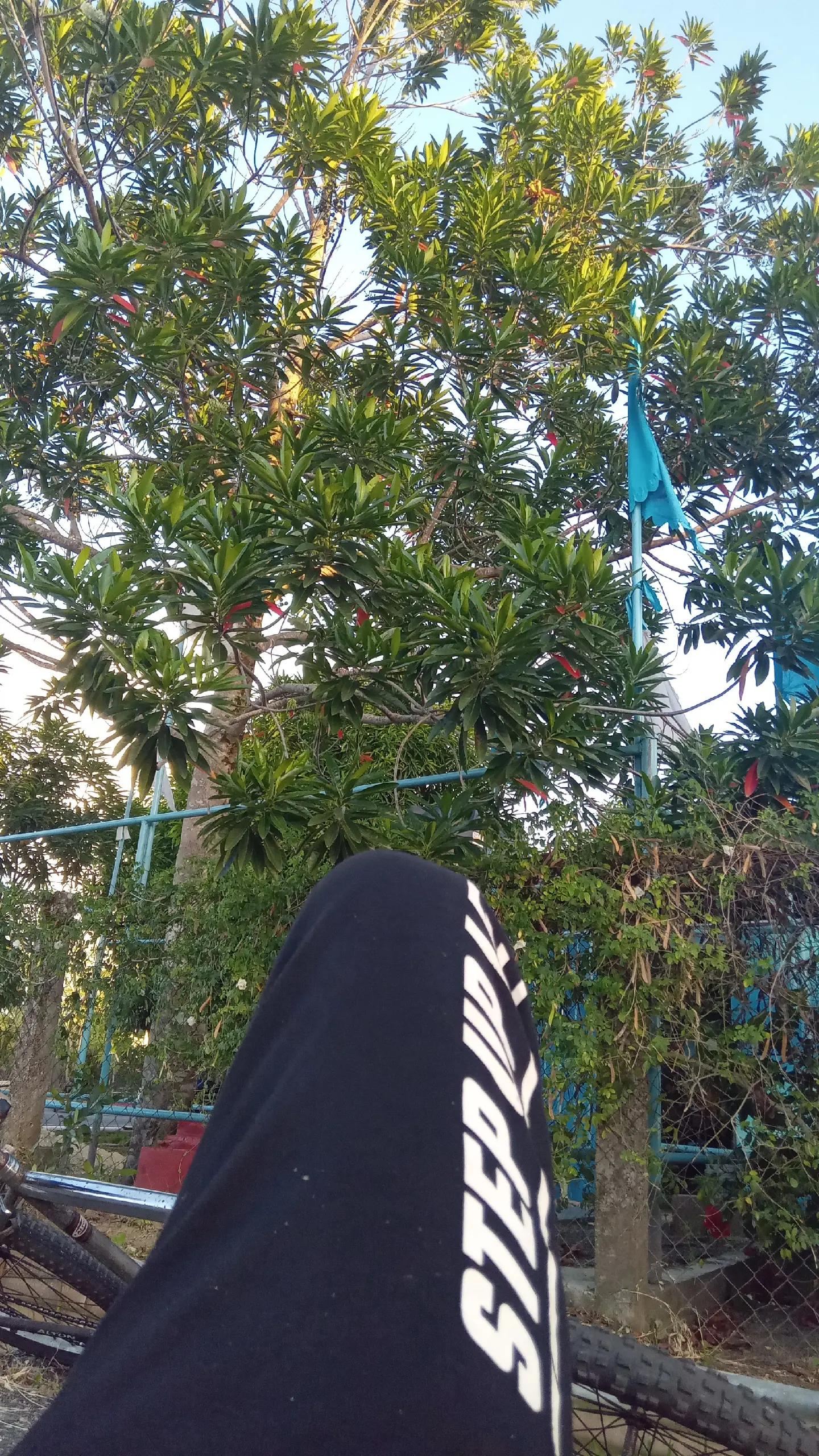 @Maha Rampartap