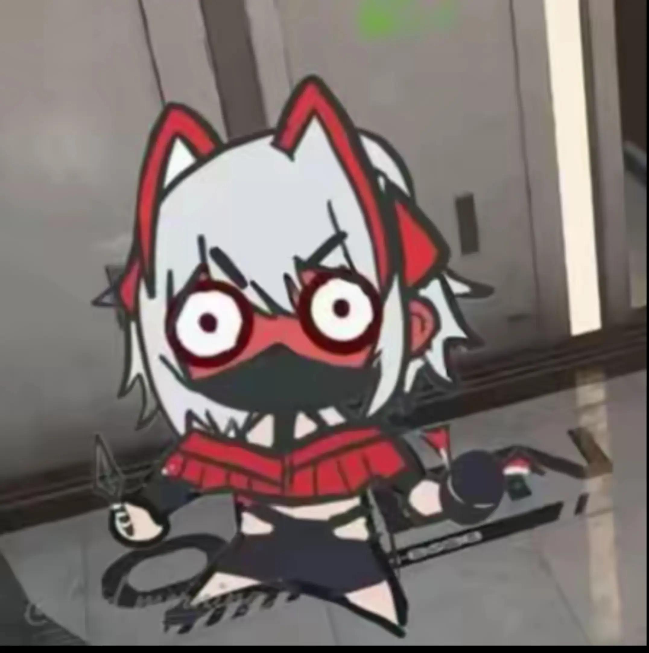 @XN冰猫