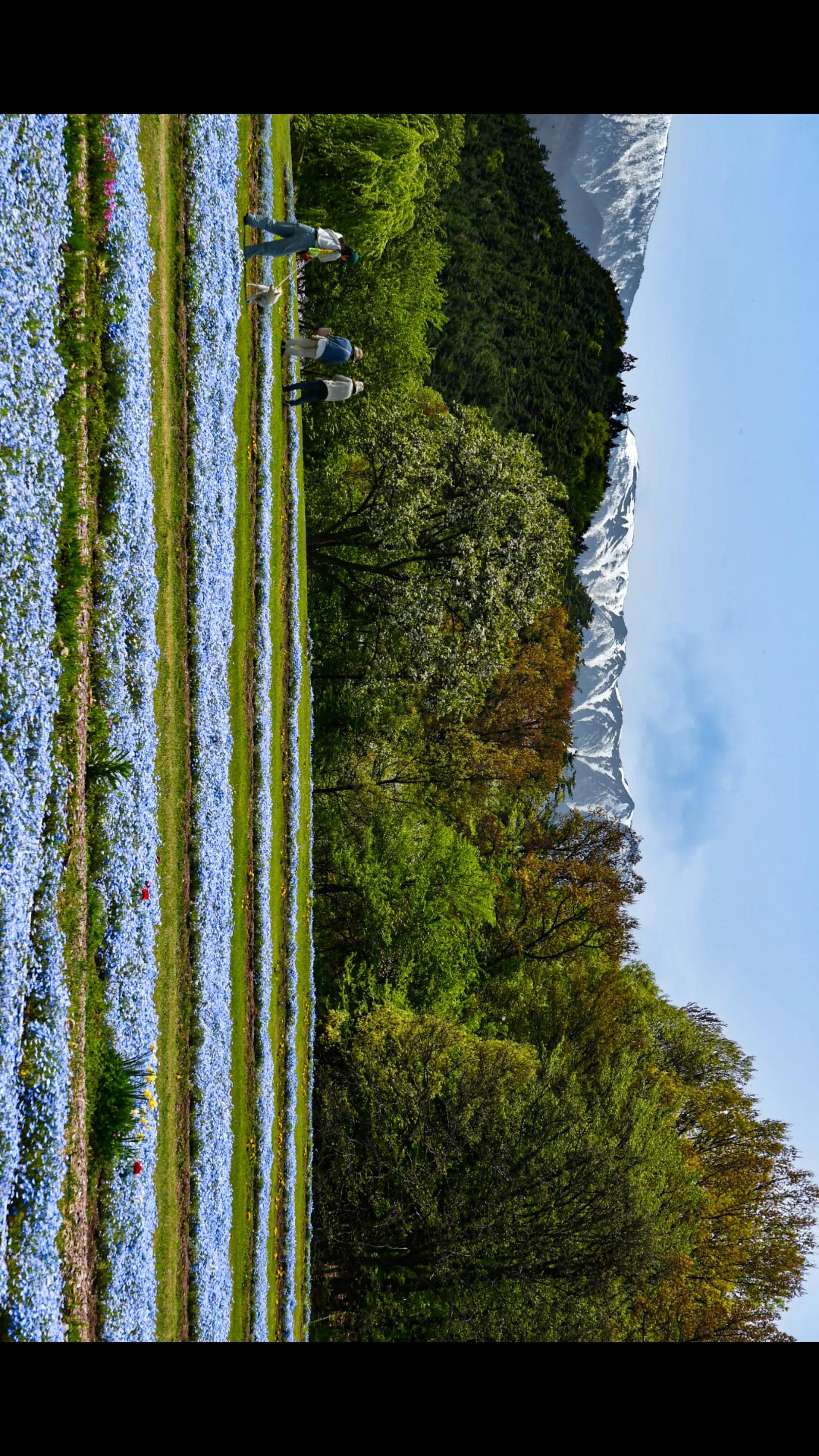 @ポポロ🐦️📸🔫スパ