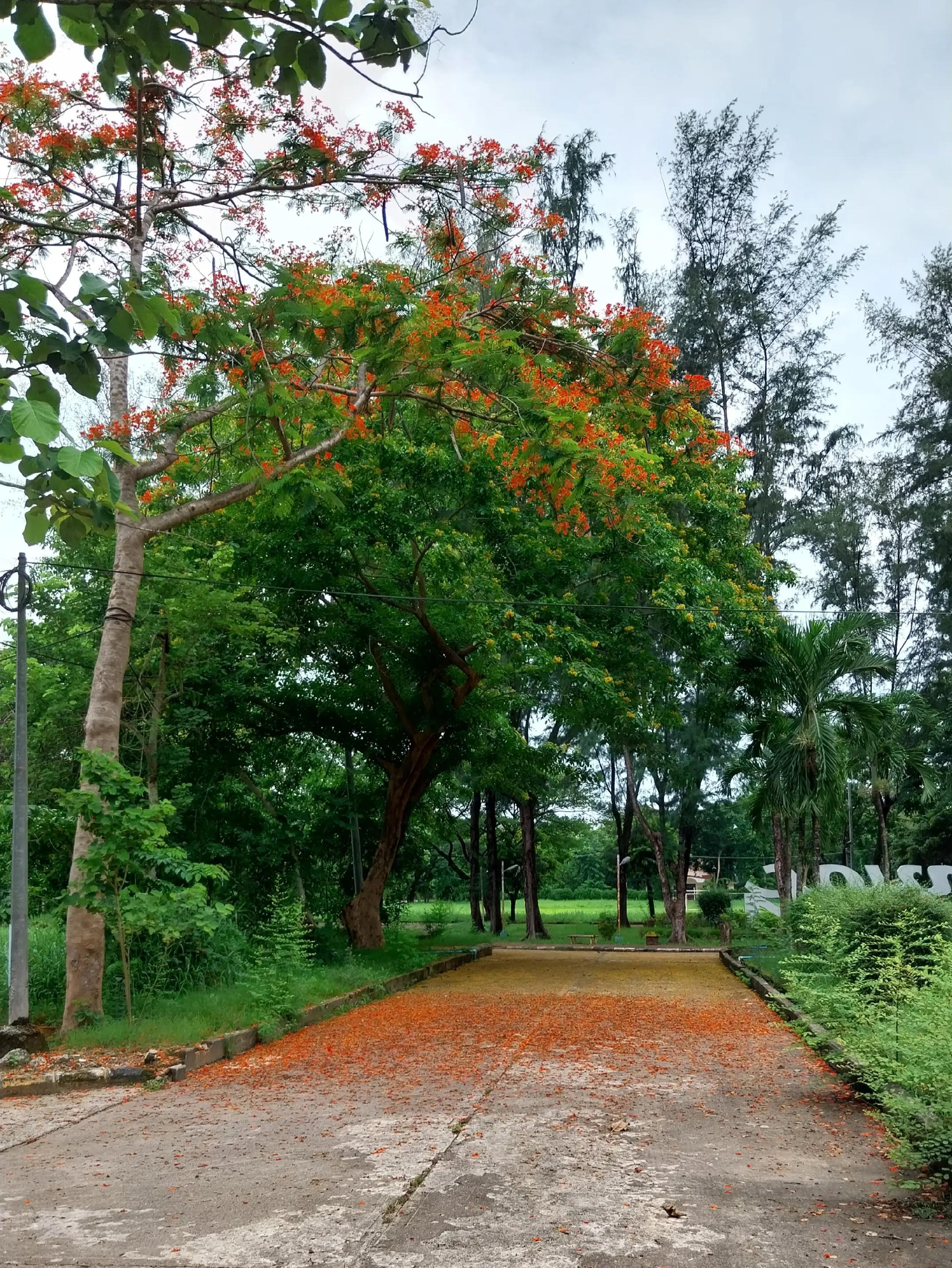 @Maungnaingshay