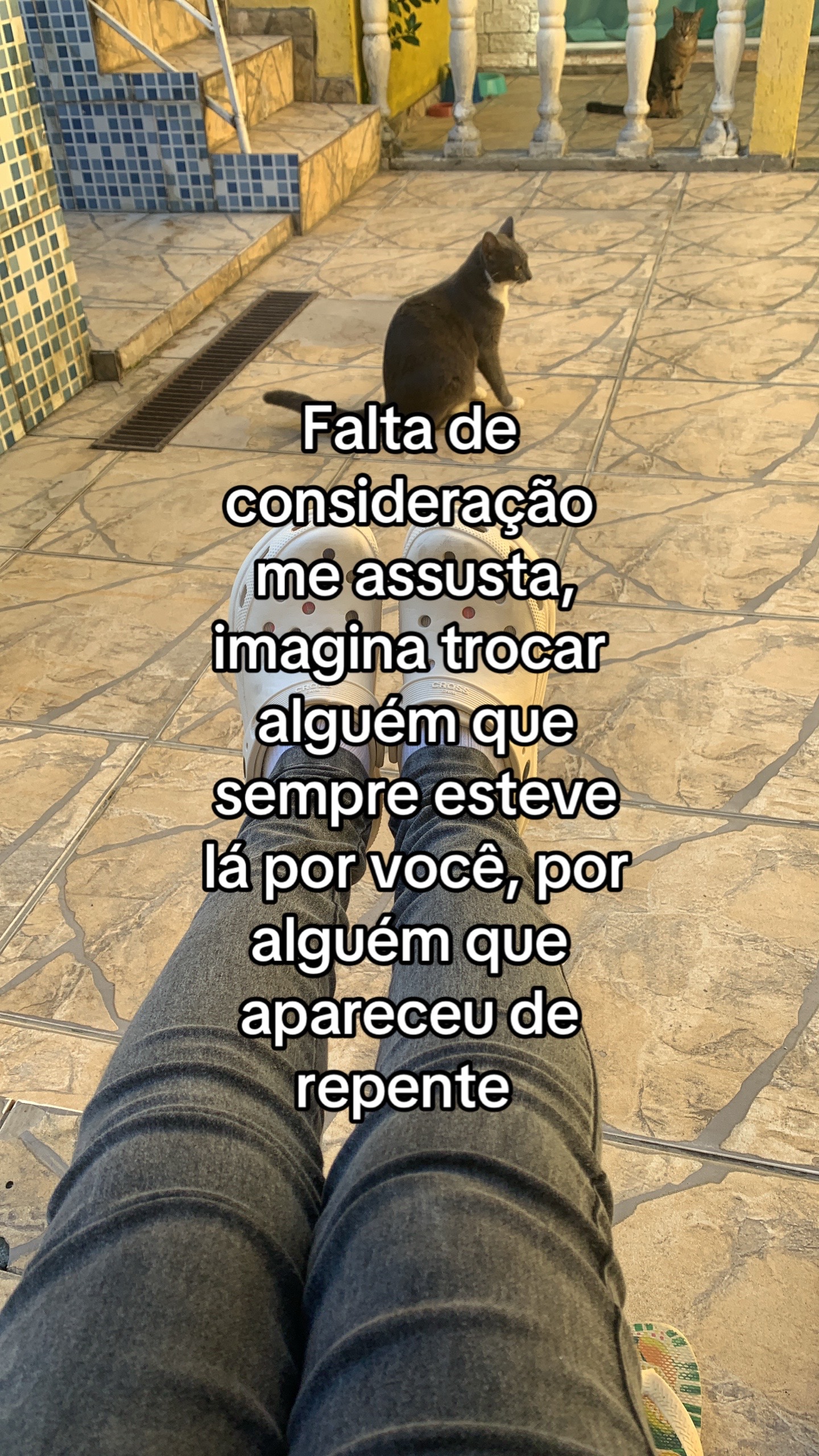 @ªlinharess