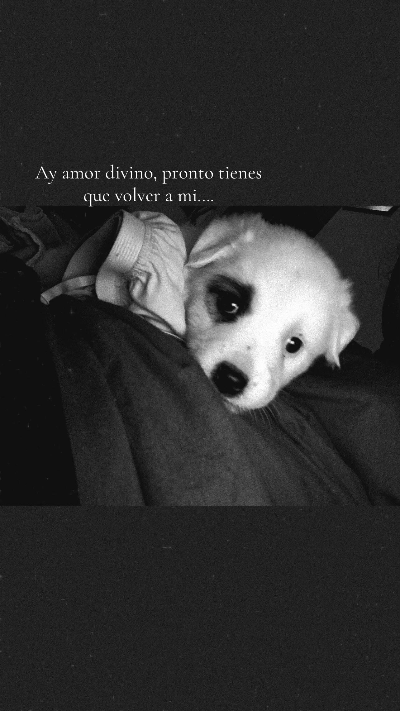 @💋.
