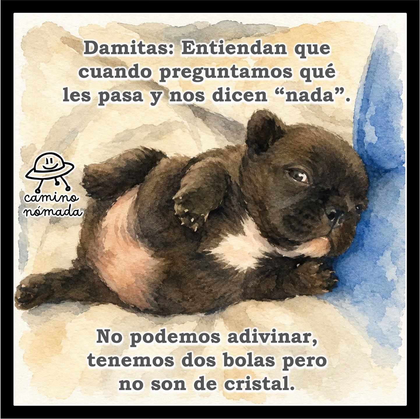 @Camino Nómada