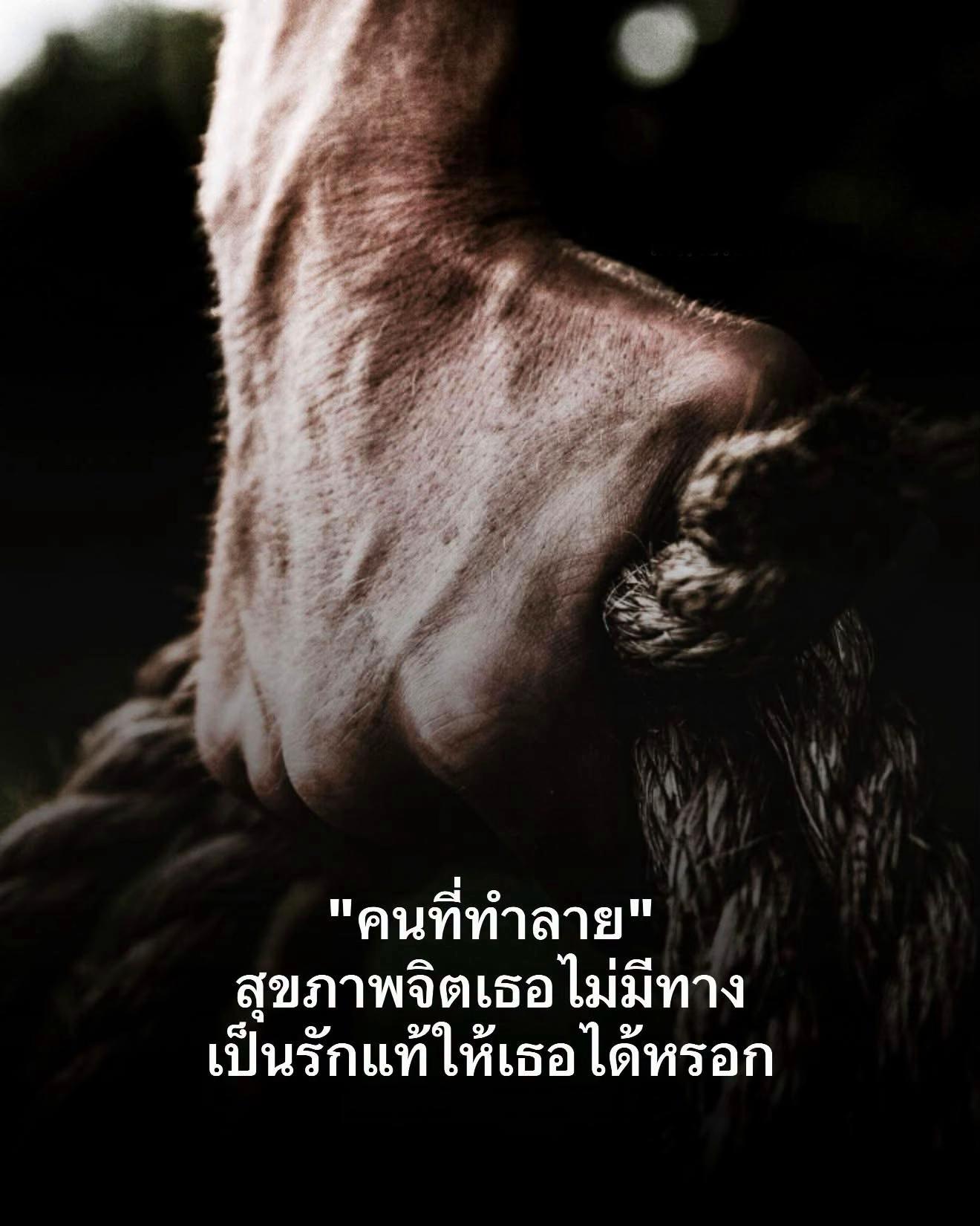 @เธรดสตอรี่(153.5K)