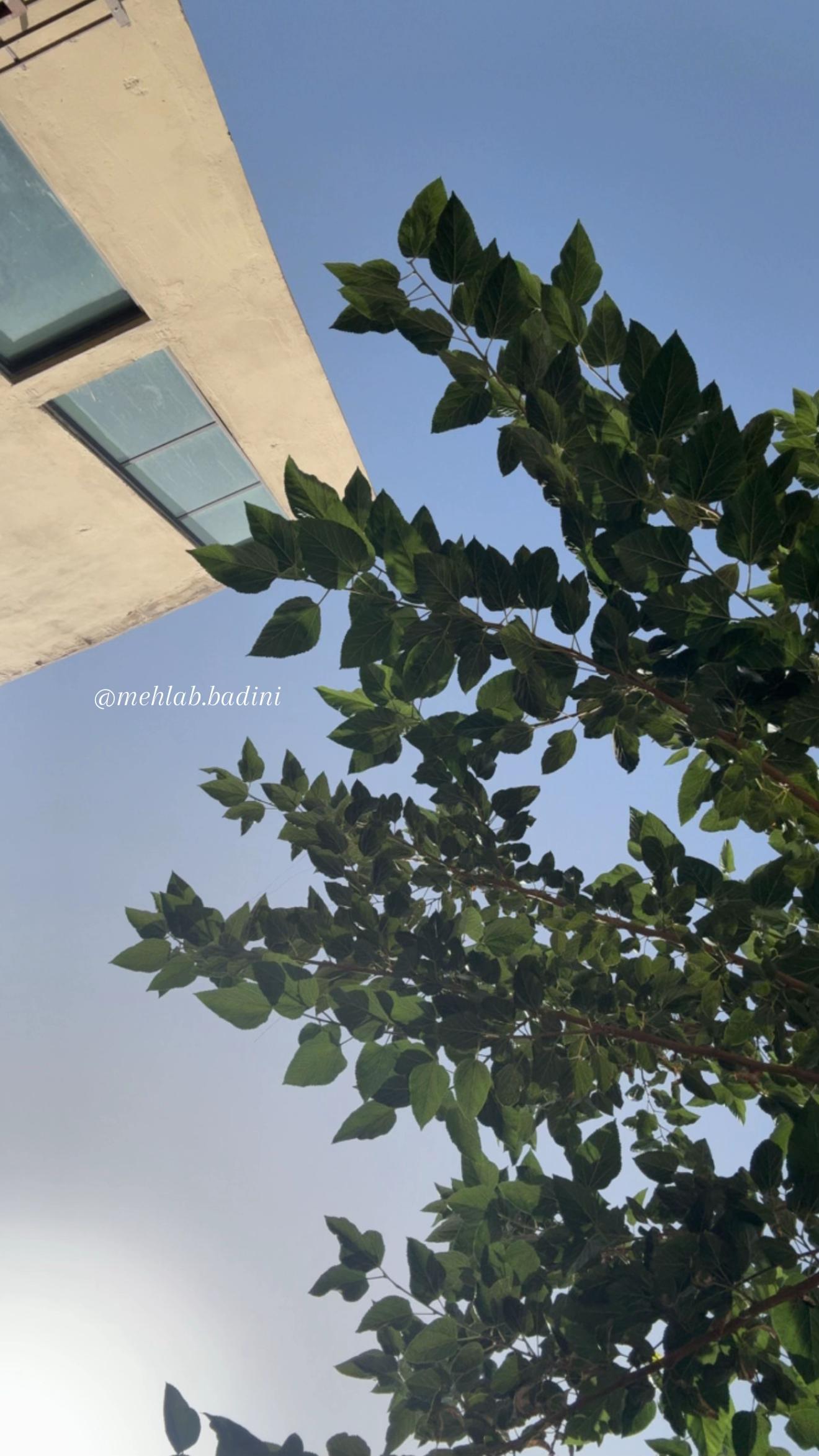 @م✨ع🫀