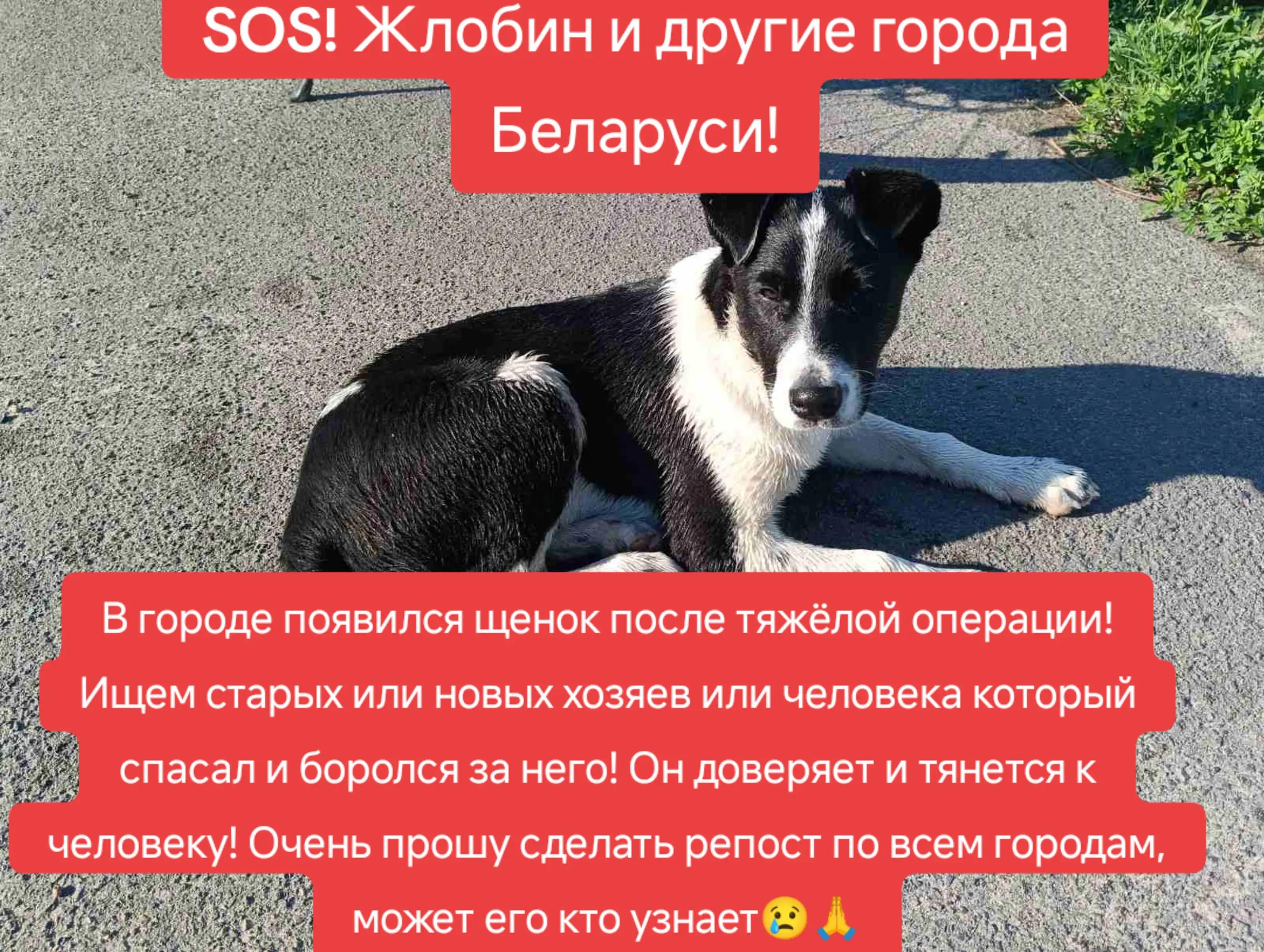 @Светлана Козлова
