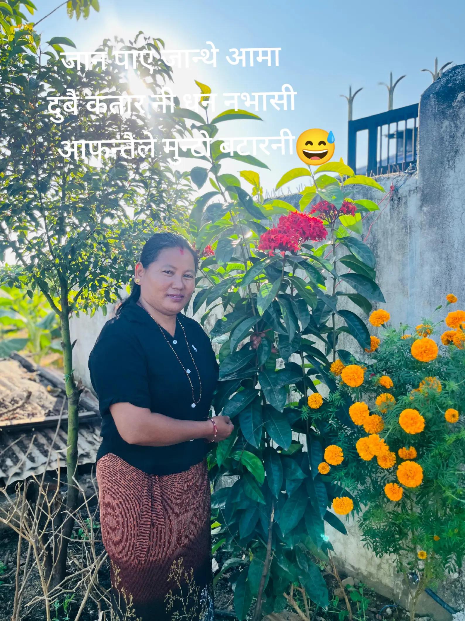 @Sirmaya Gurung