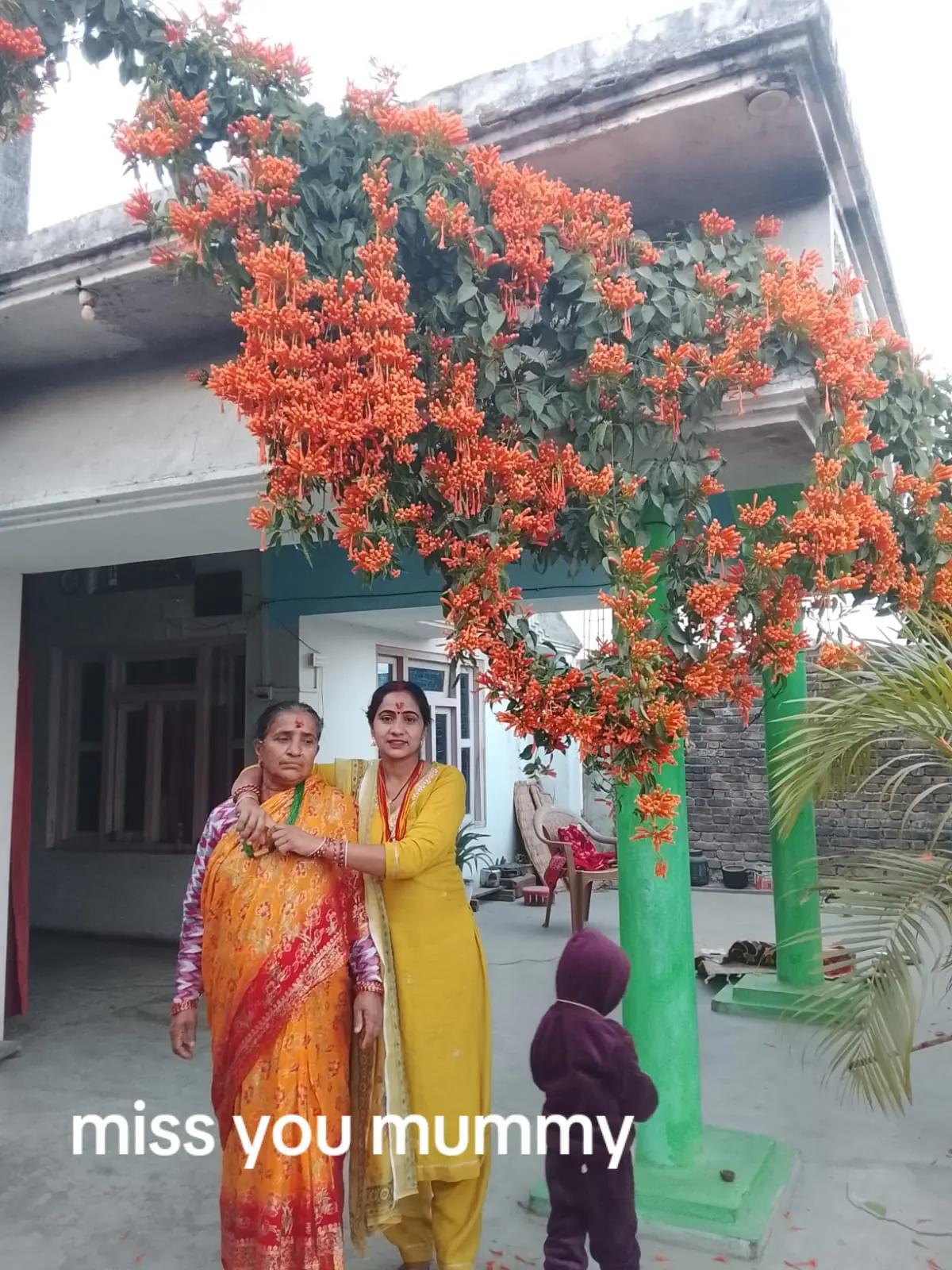 @Nisha pant 997