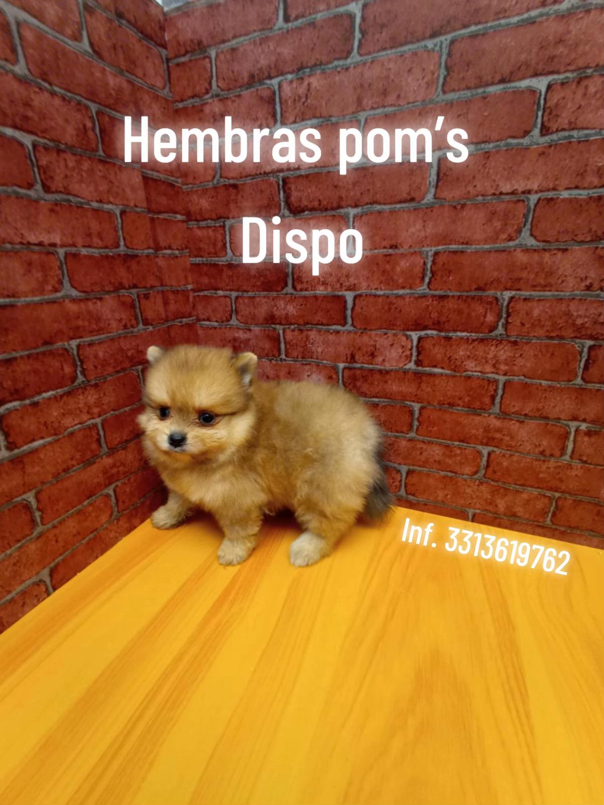 @VHR🍒