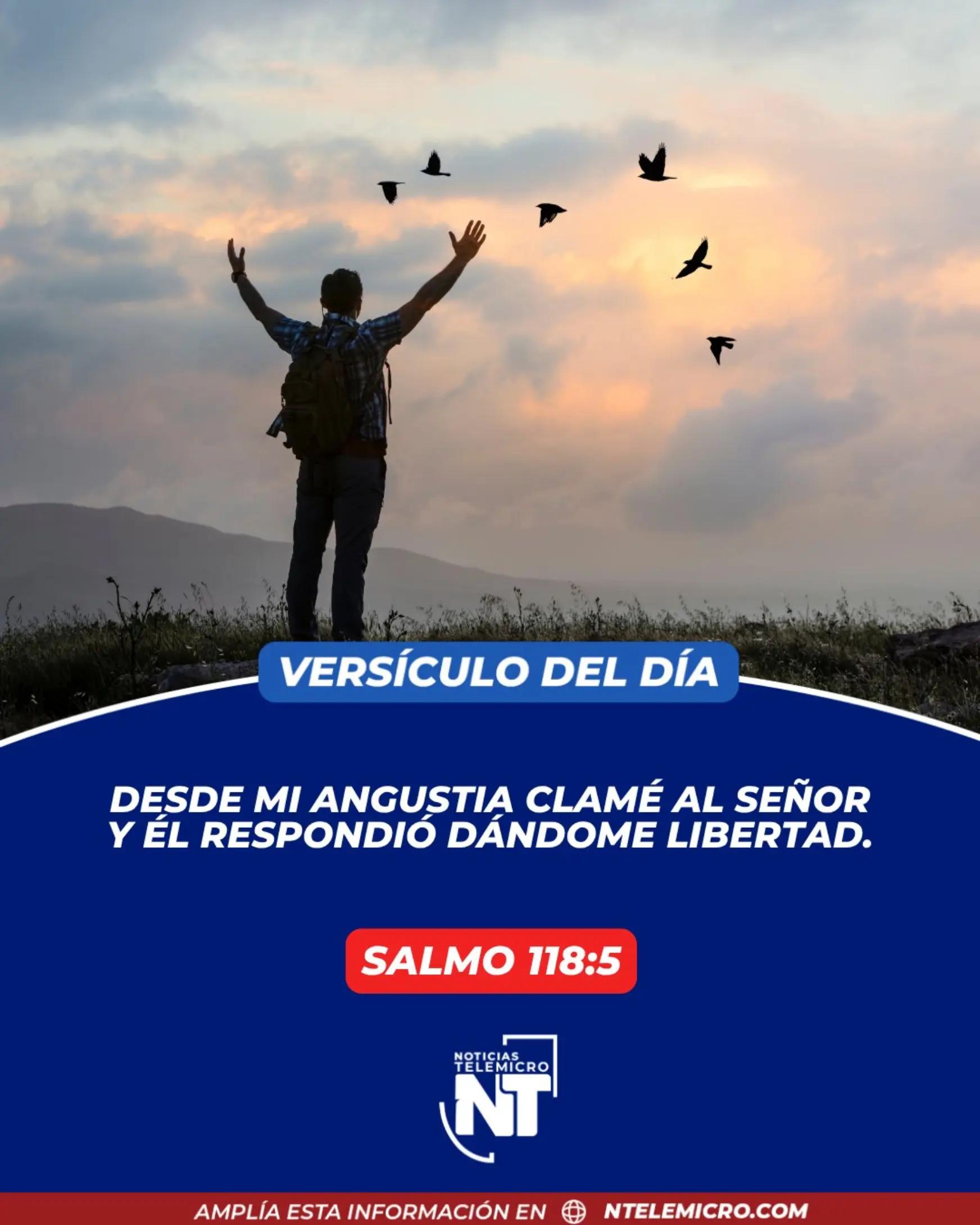 @Miguel Medina oficial